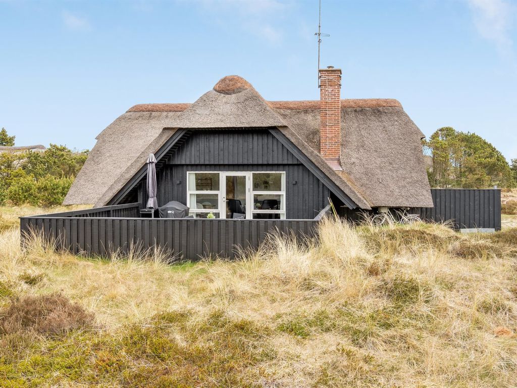 Vakantiehuis Vladan in Denemarken