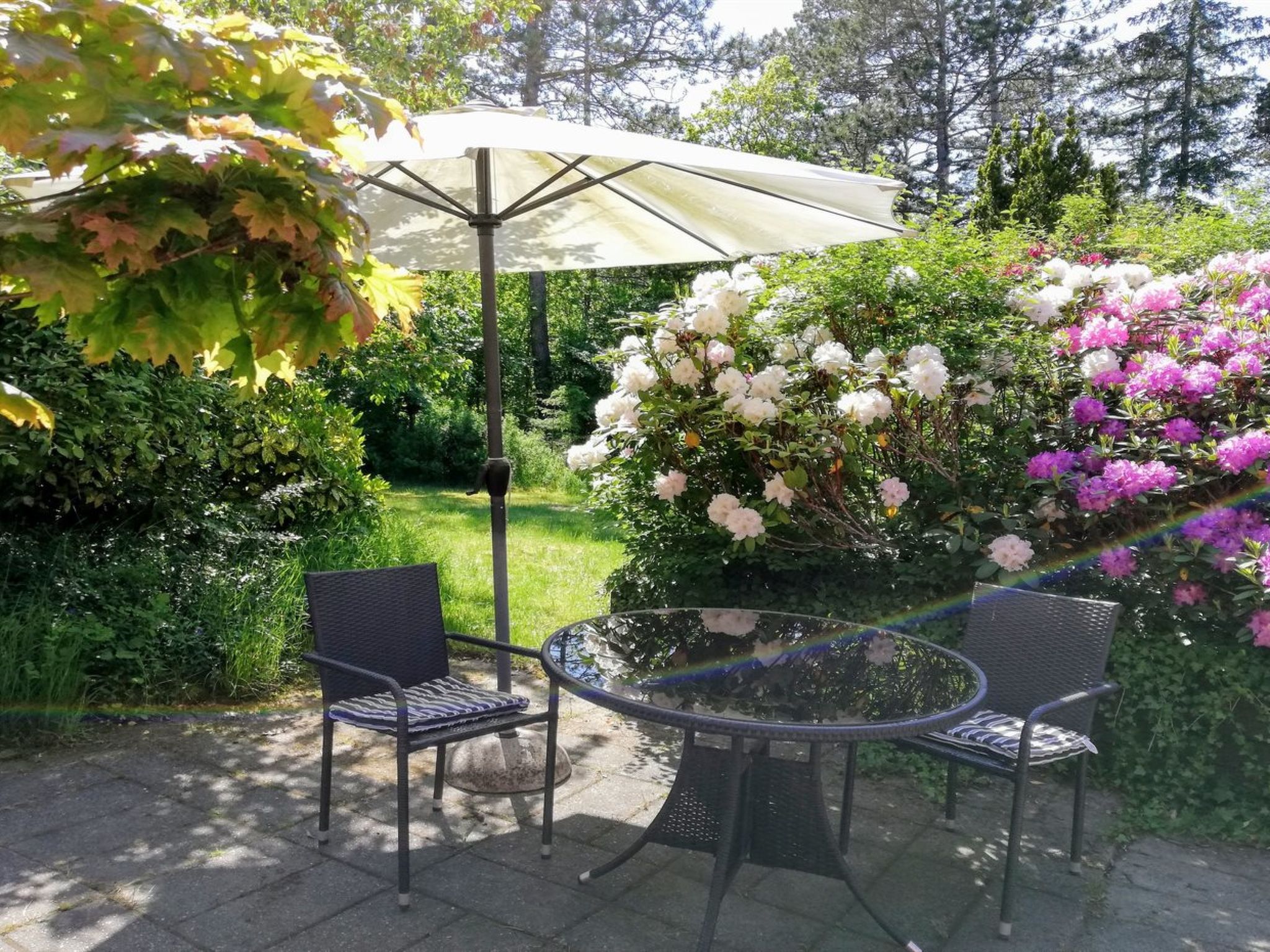 "Kolja" - 3km from the sea-Buiten