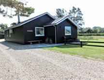 Ruime familievilla Kadir op 500 meter van de zee in Blåvand - thumbnail 4