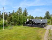 Kindvriendelijke vakantiewoning Meinolf met grote tuin op 2 km van de zee in Blåvand - thumbnail 1