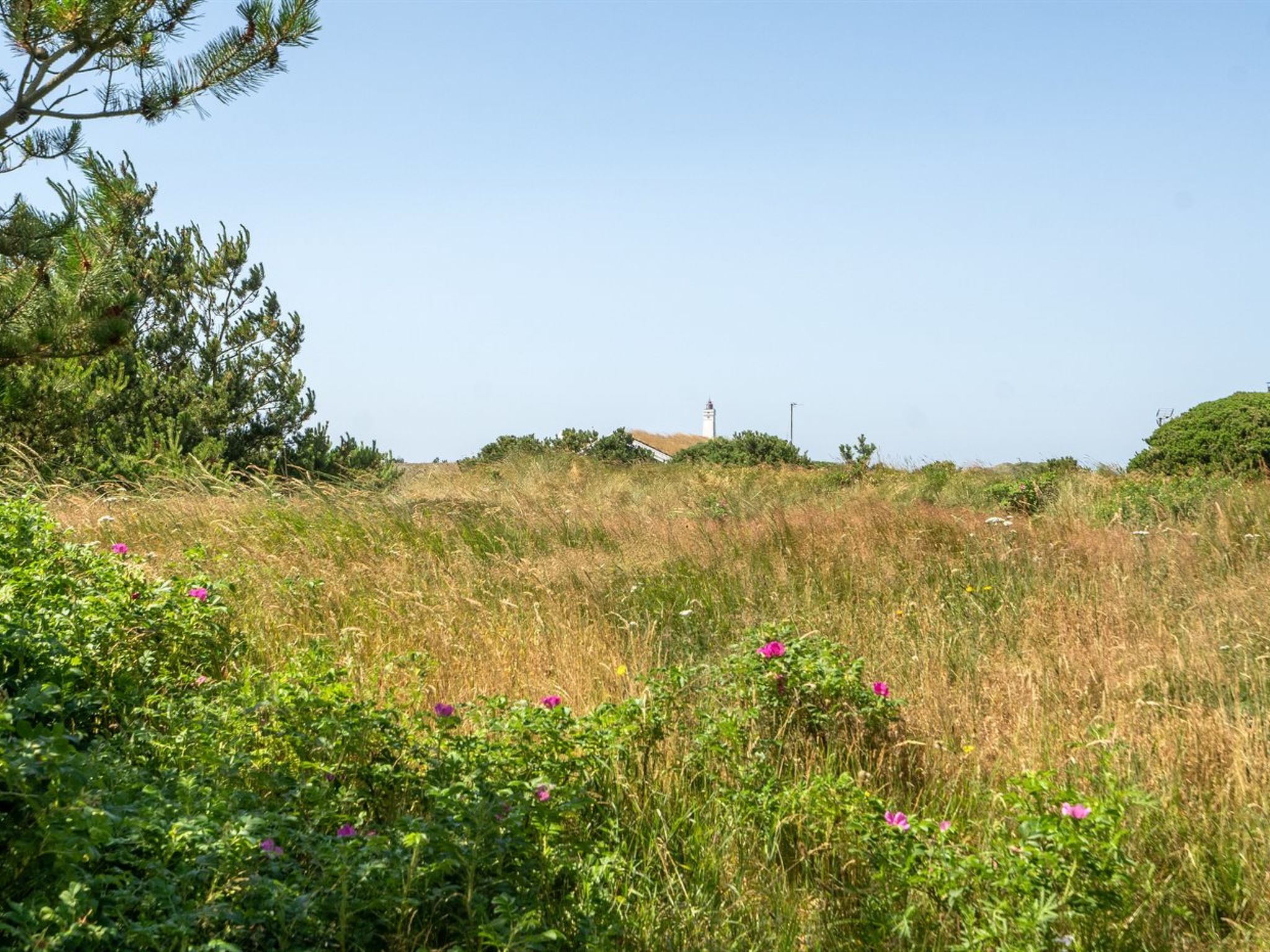 "Sine" - 500m from the sea - Buiten
