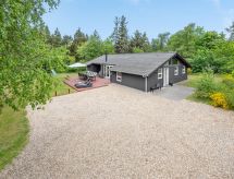 Vrijstaande woning met privé-zwembad en sauna op 1,6 km van de zee in Blåvand - thumbnail 2
