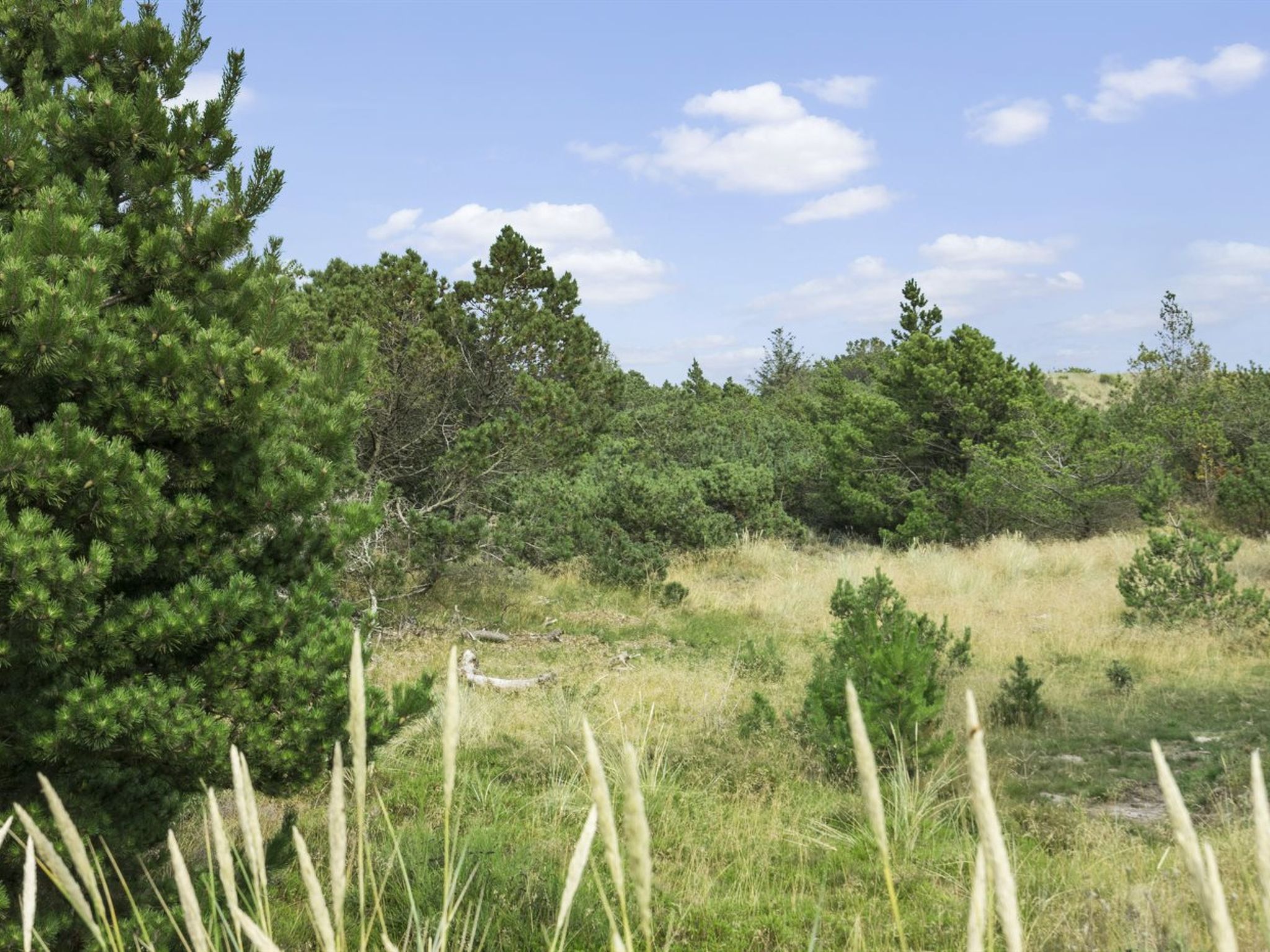 "Gise" - 2km from the sea-Draußen