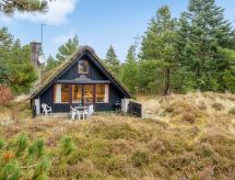 Ruime vakantiewoning op 2 km van de zee in Blåvand - thumbnail 6
