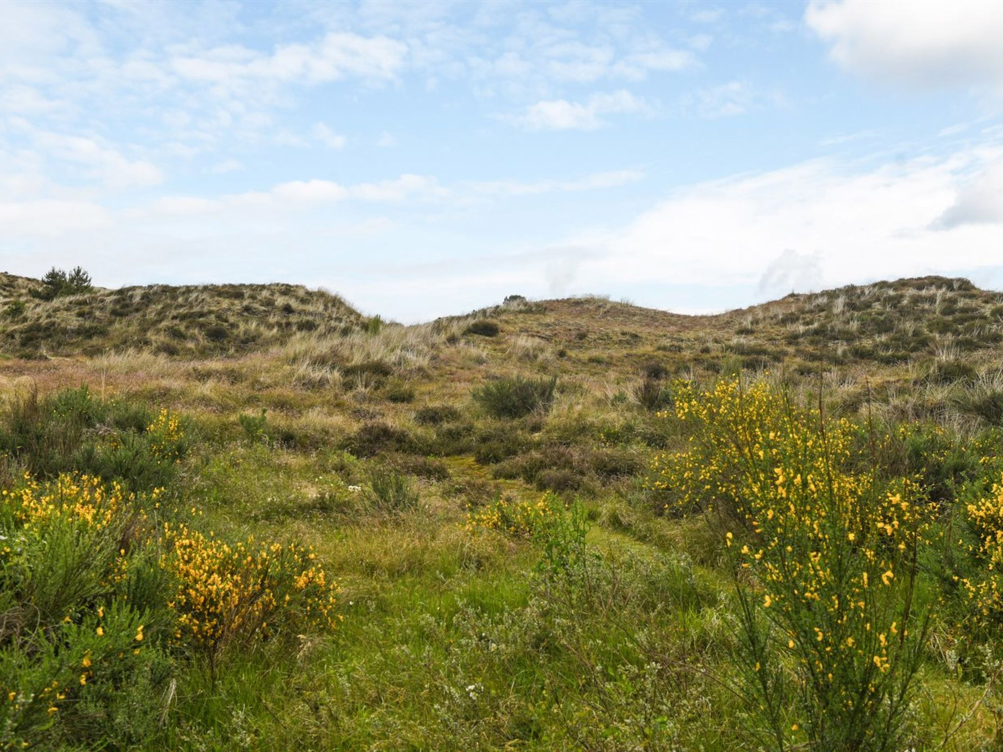"Aderice" - 1.6km from the sea - Dehors