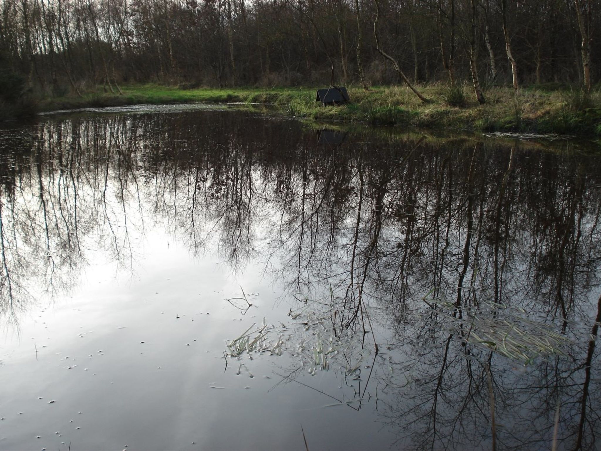 "Henrika"-Buiten