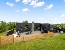 Vakantiehuis met whirlpool en open haard in Tarm - thumbnail 1