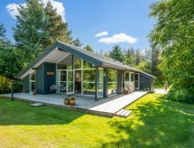 Moderne gezinswoning Elevine op 300 meter van de fjord in Hemmet - thumbnail 1
