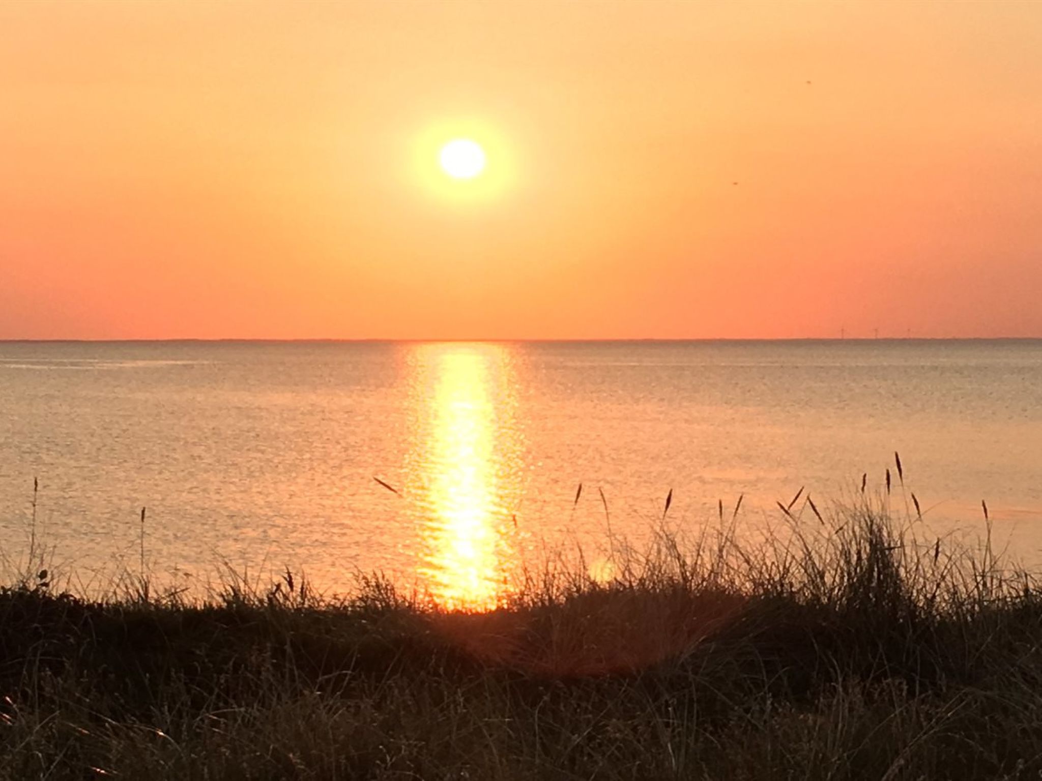 Moderne gezinswoning Elevine op 300 meter van de fjord in Hemmet - foto 29