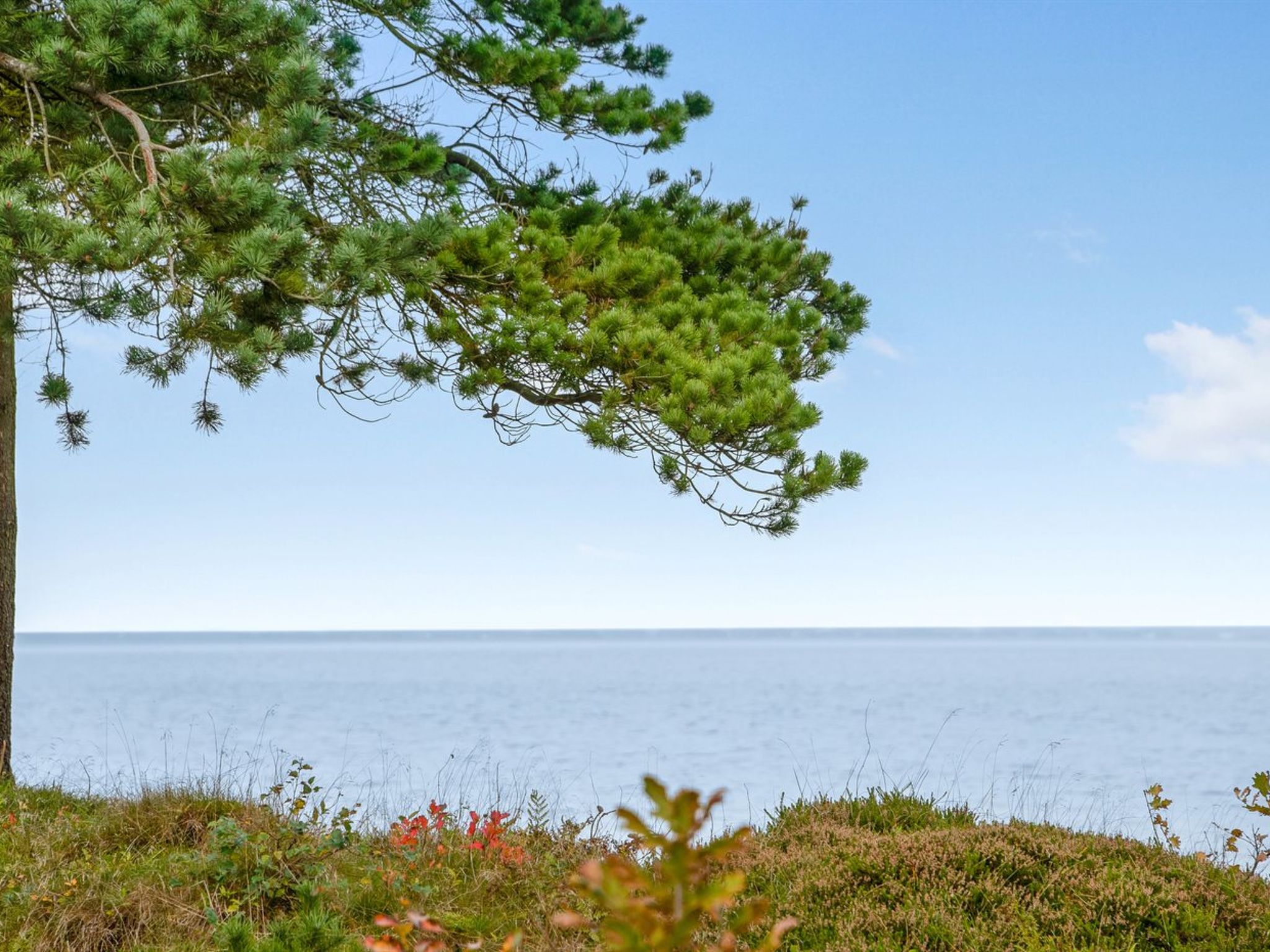 "Ingeborg" - 100m to the fjord - Buiten