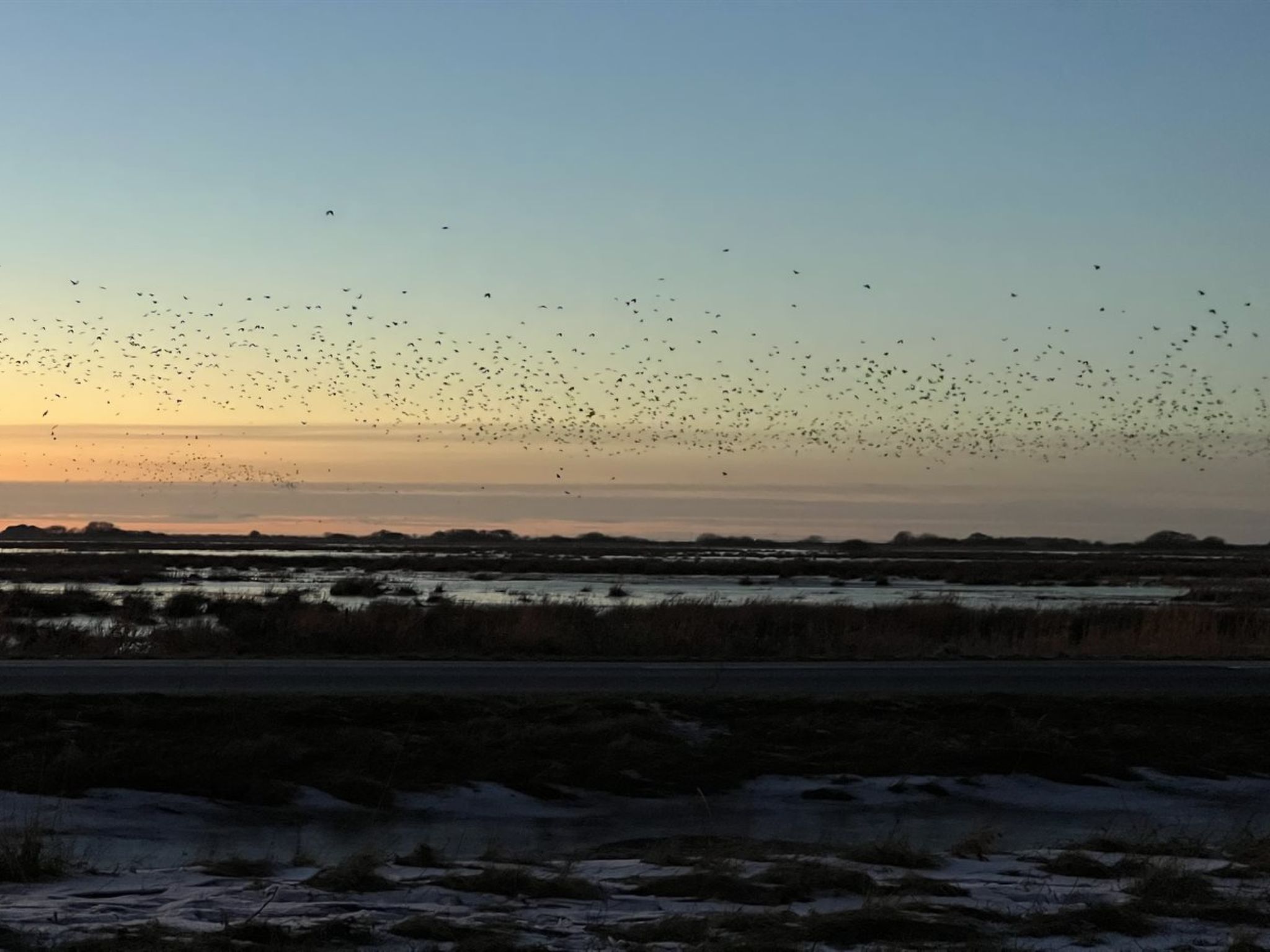 "Ronja" - 100m to the fjord-Buiten