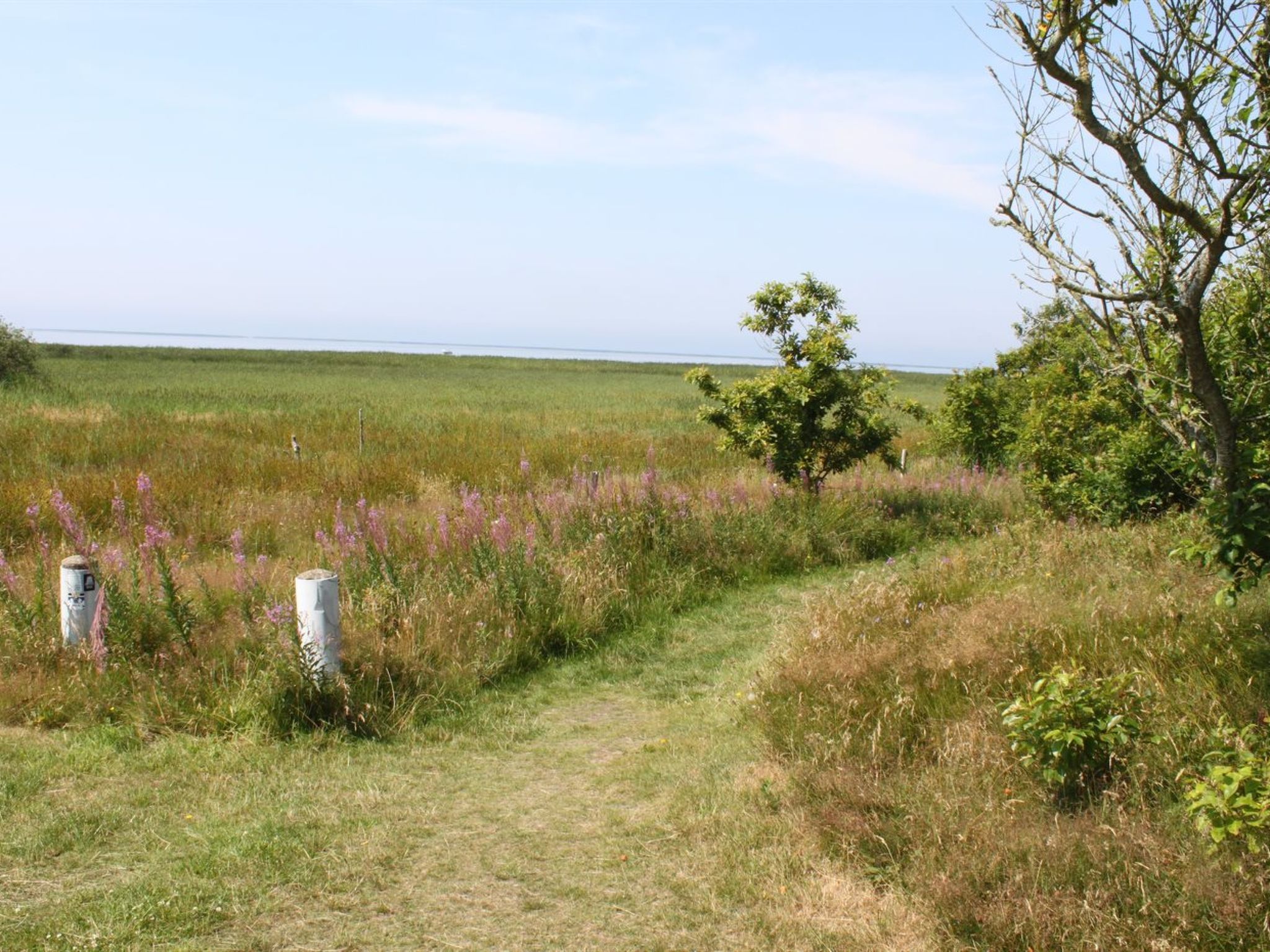 "Pyry" - 400m to the fjord-Buiten