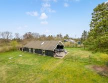 Moderne vakantiewoning Swartebrand op 400 meter van de fjord bij Skjern - thumbnail 2