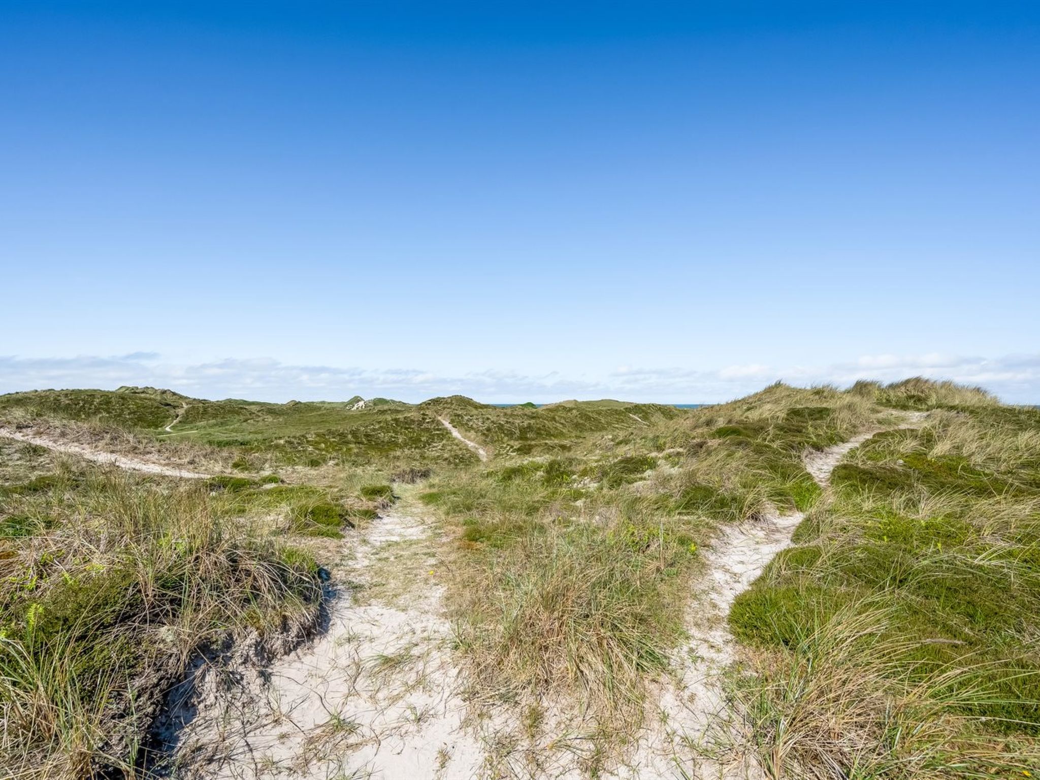"Ewy" - 300m from the sea-Buiten