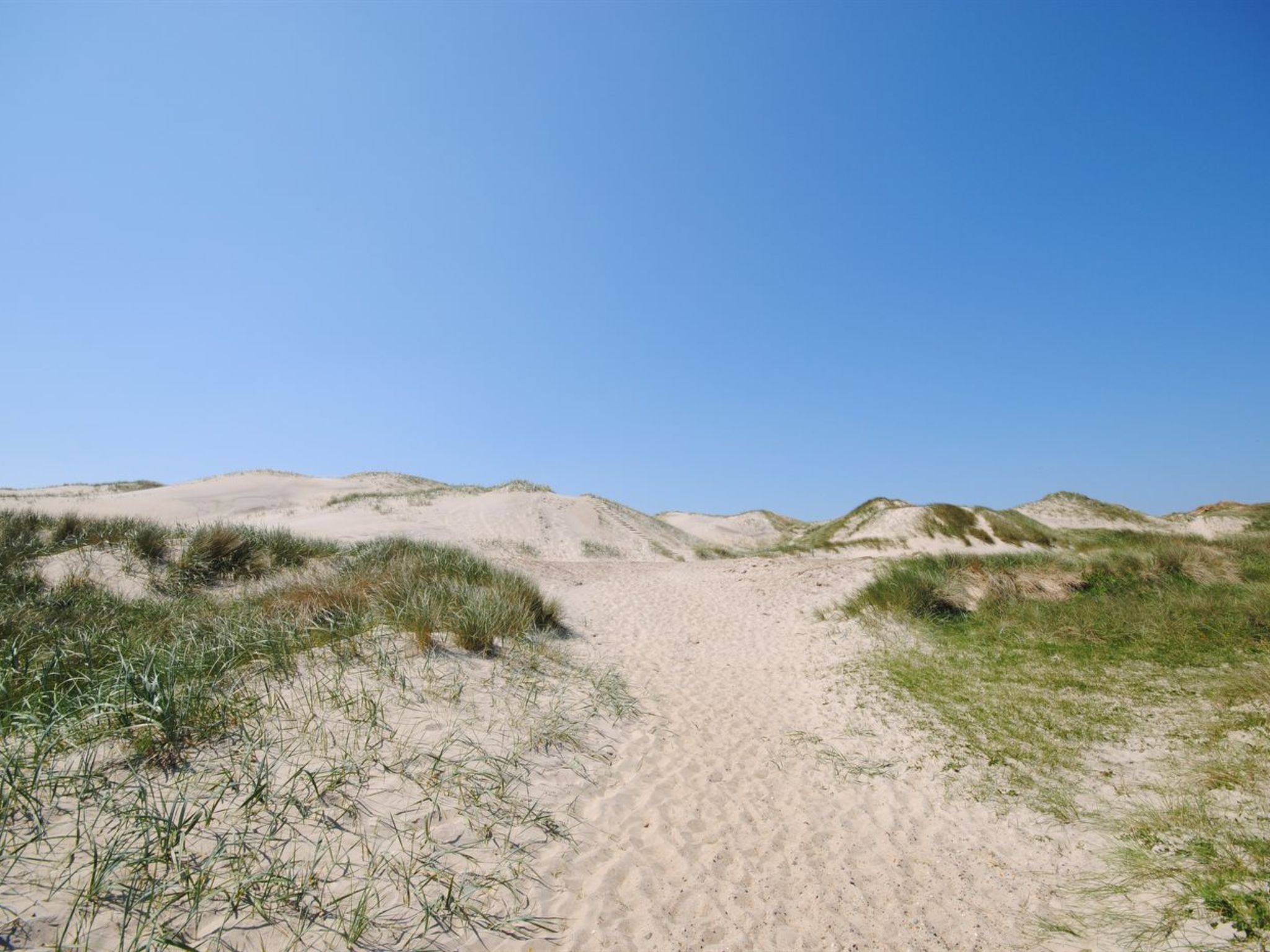 "Gundine" -  from the sea-Buiten