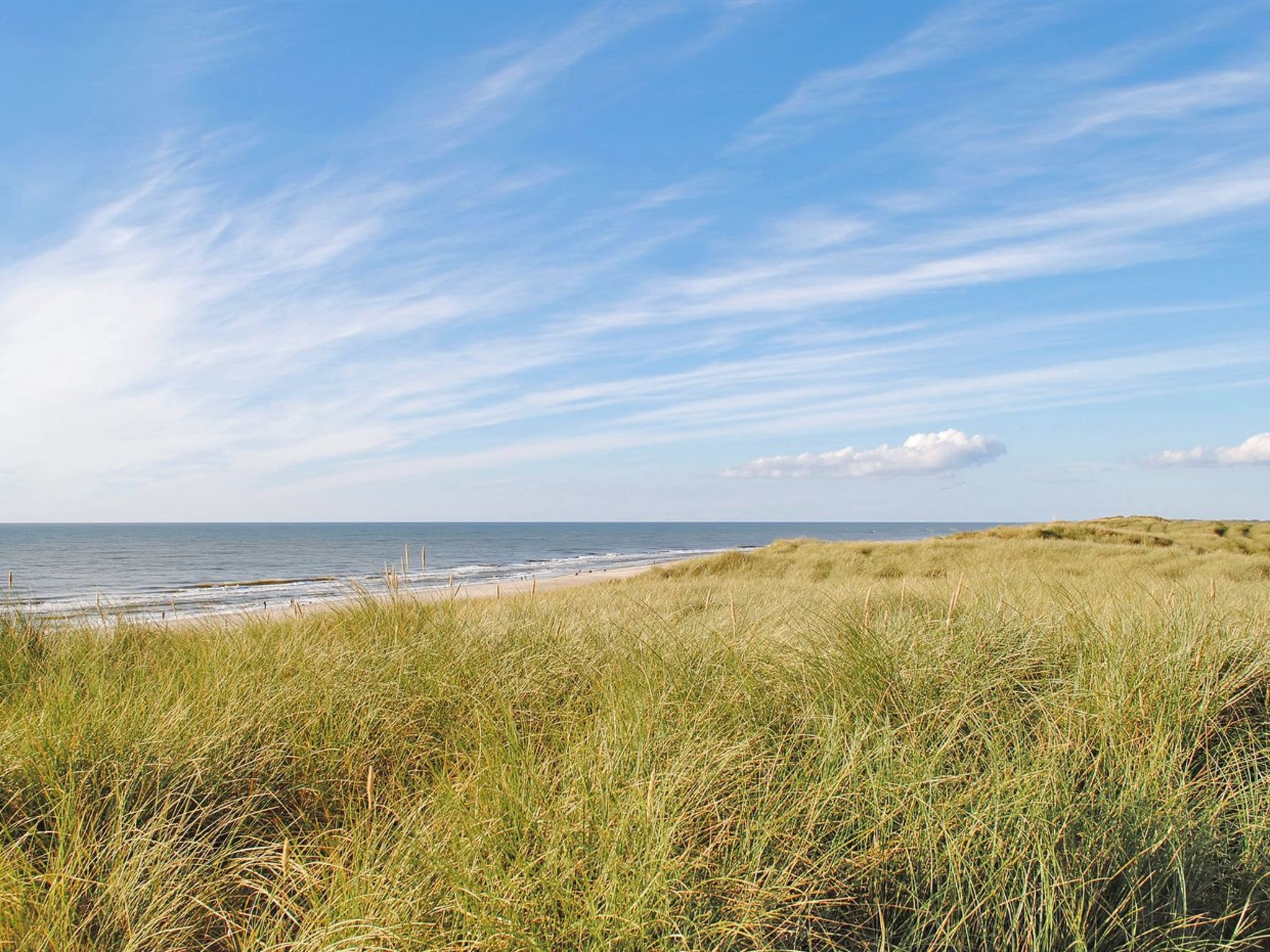 "Mogens" -  from the sea - Buiten