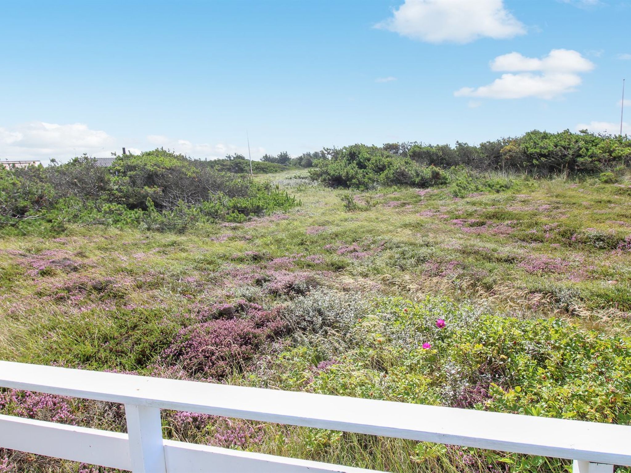 "Janni" - 250m from the sea - Outside