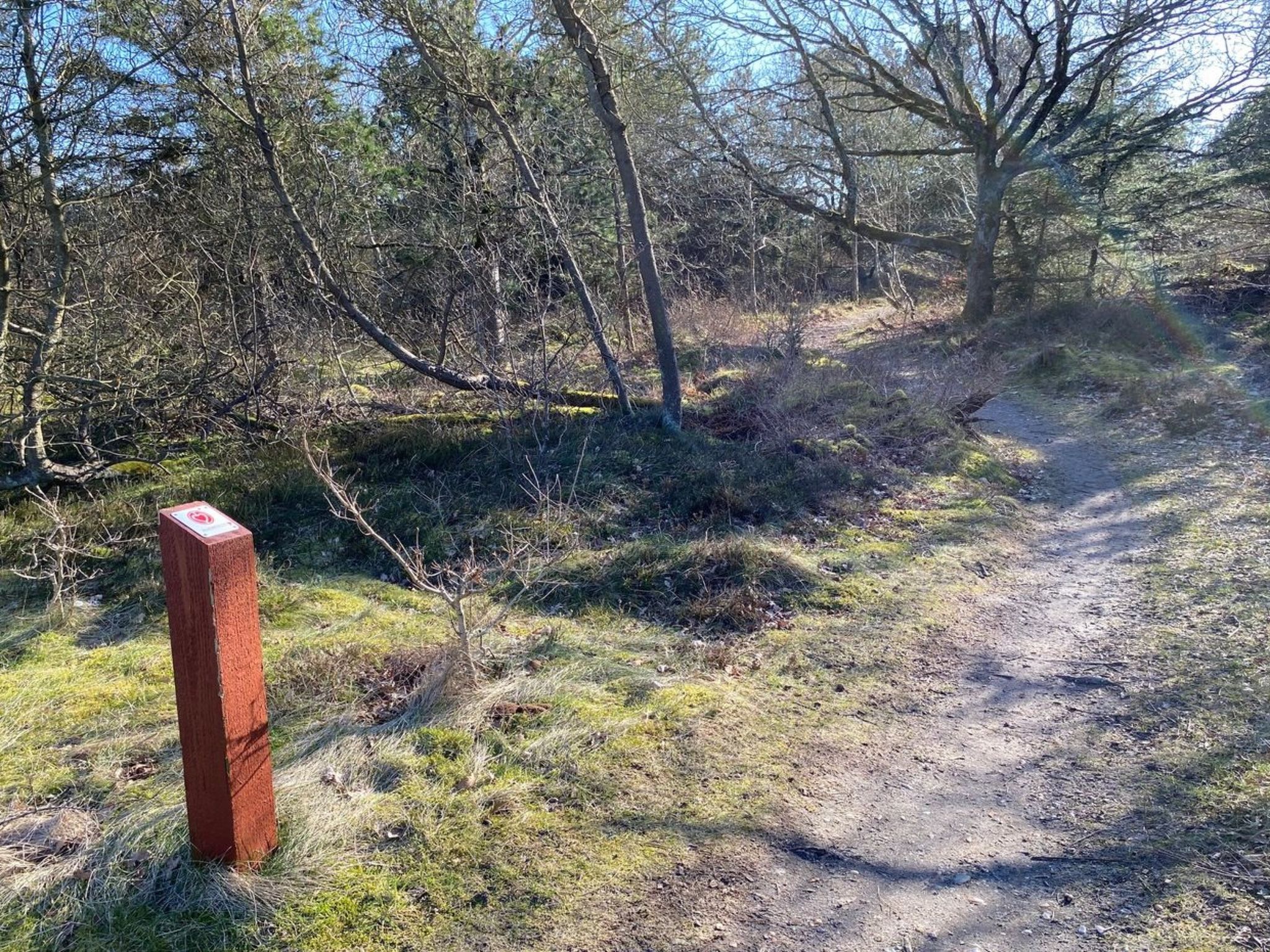 "Marilisa" - 700m to the fjord-Outside