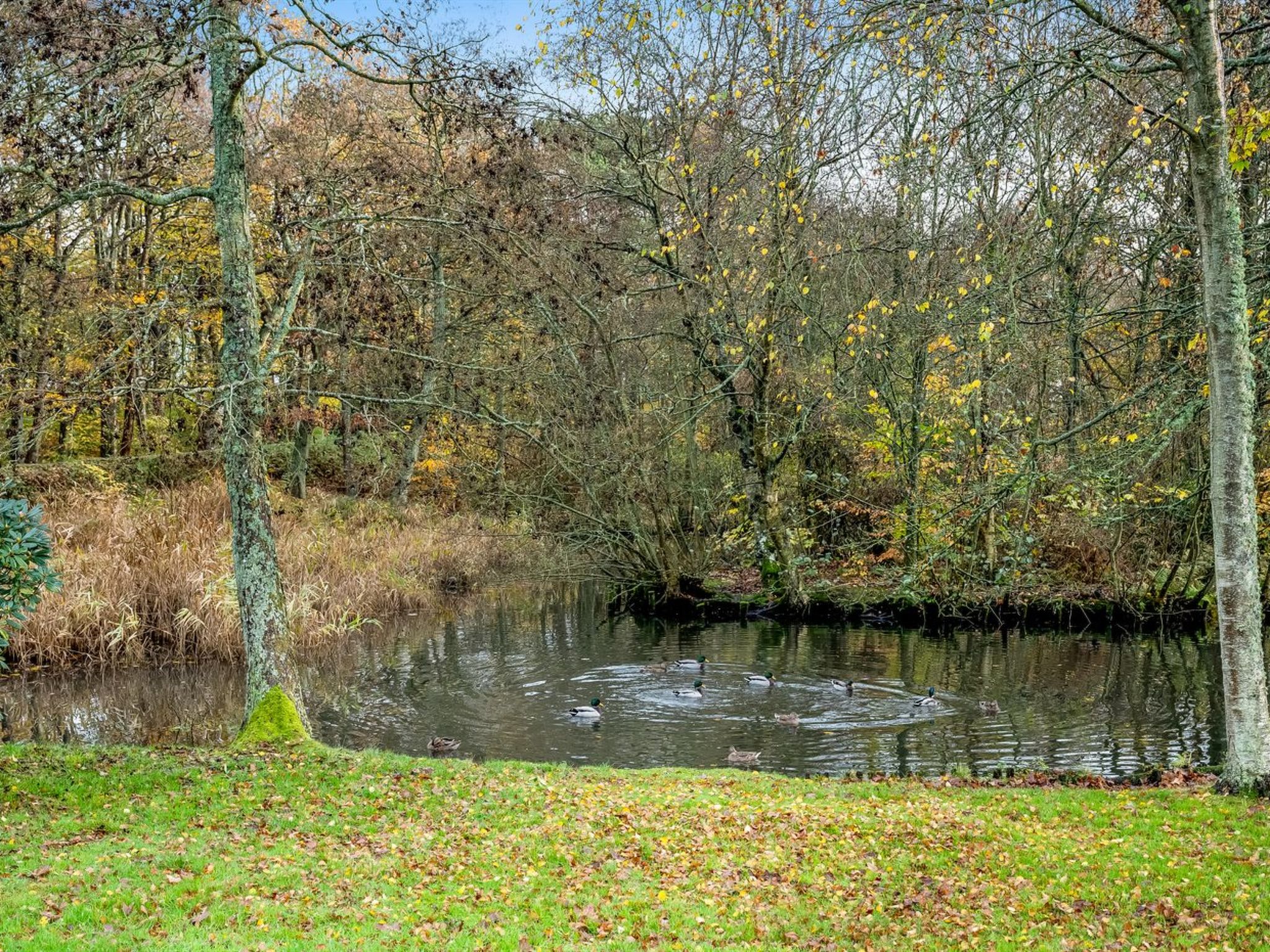 "Trpana" - 1km to the fjord - Buiten