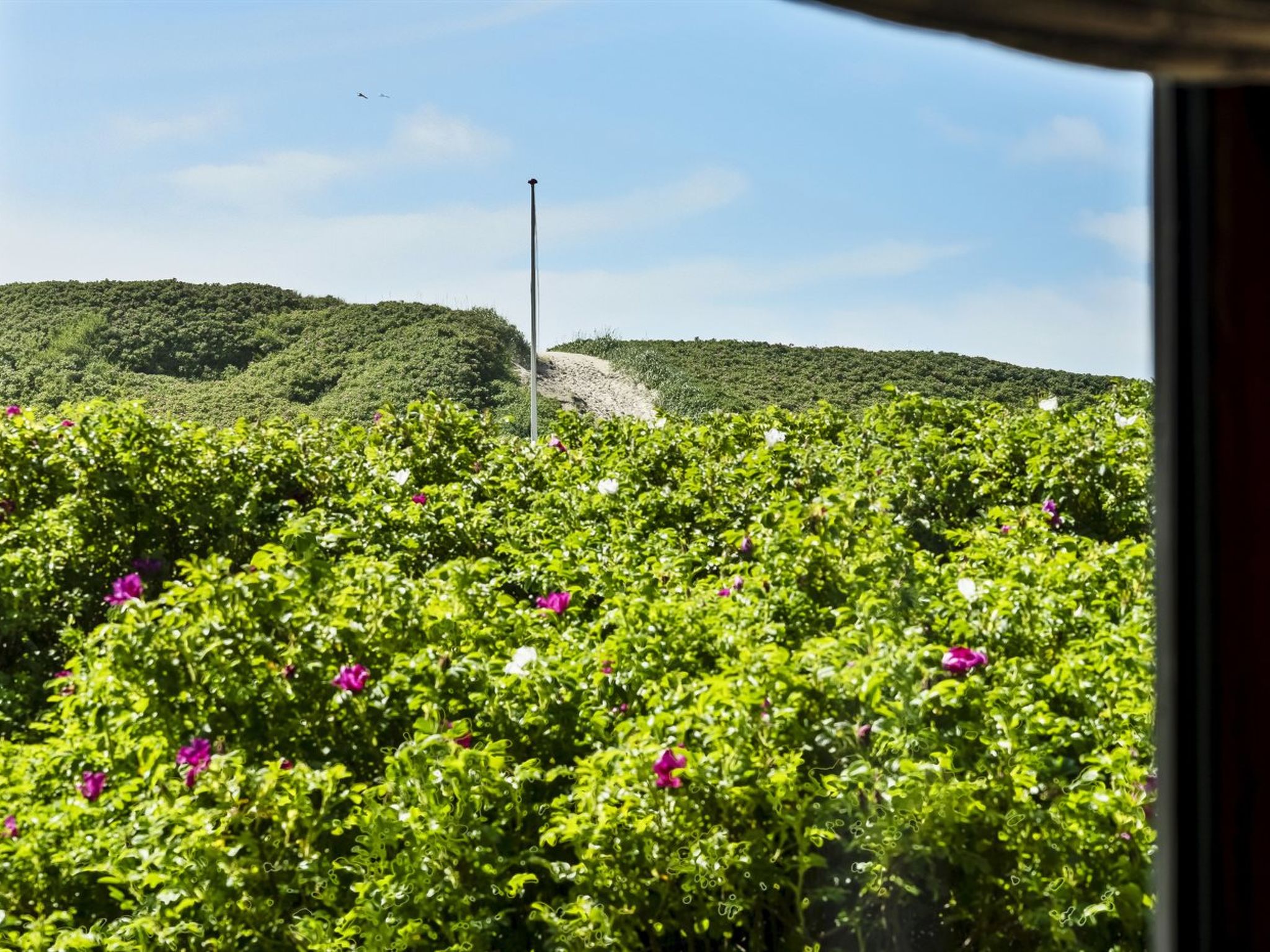 "Georg" - 200m from the sea