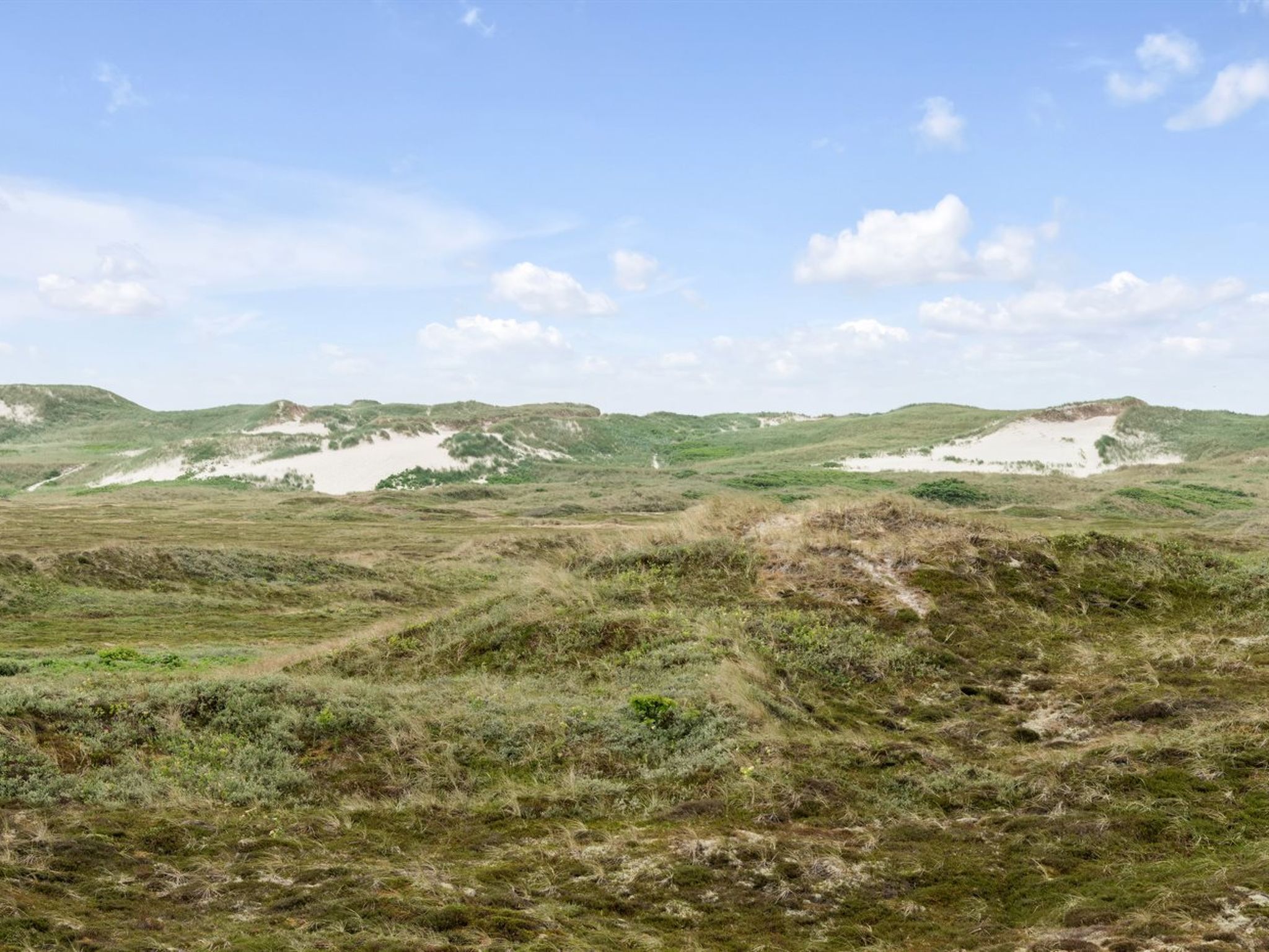 "Trugot" - 450m to the fjord-Dehors