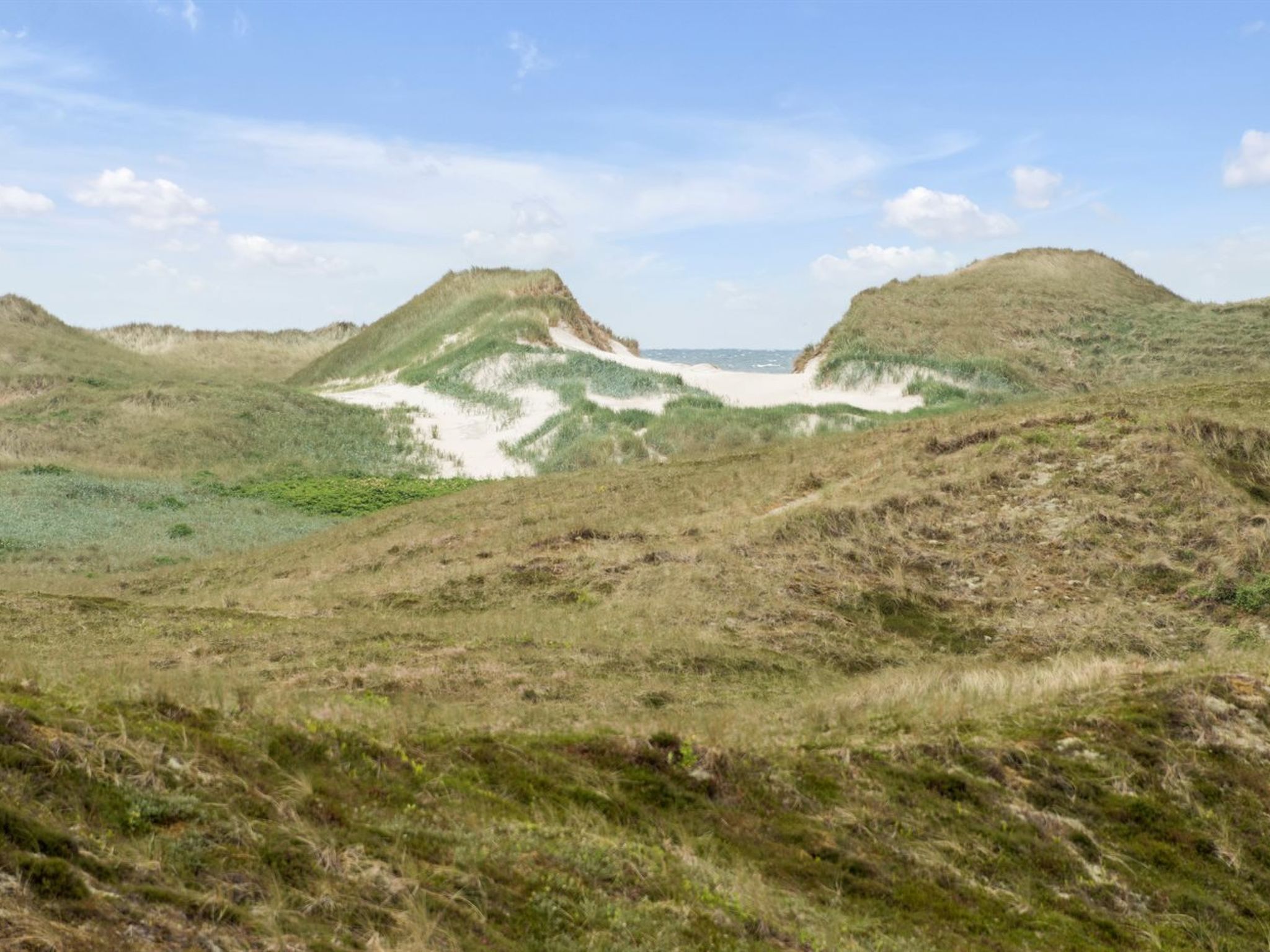 "Trugot" - 450m to the fjord-Dehors