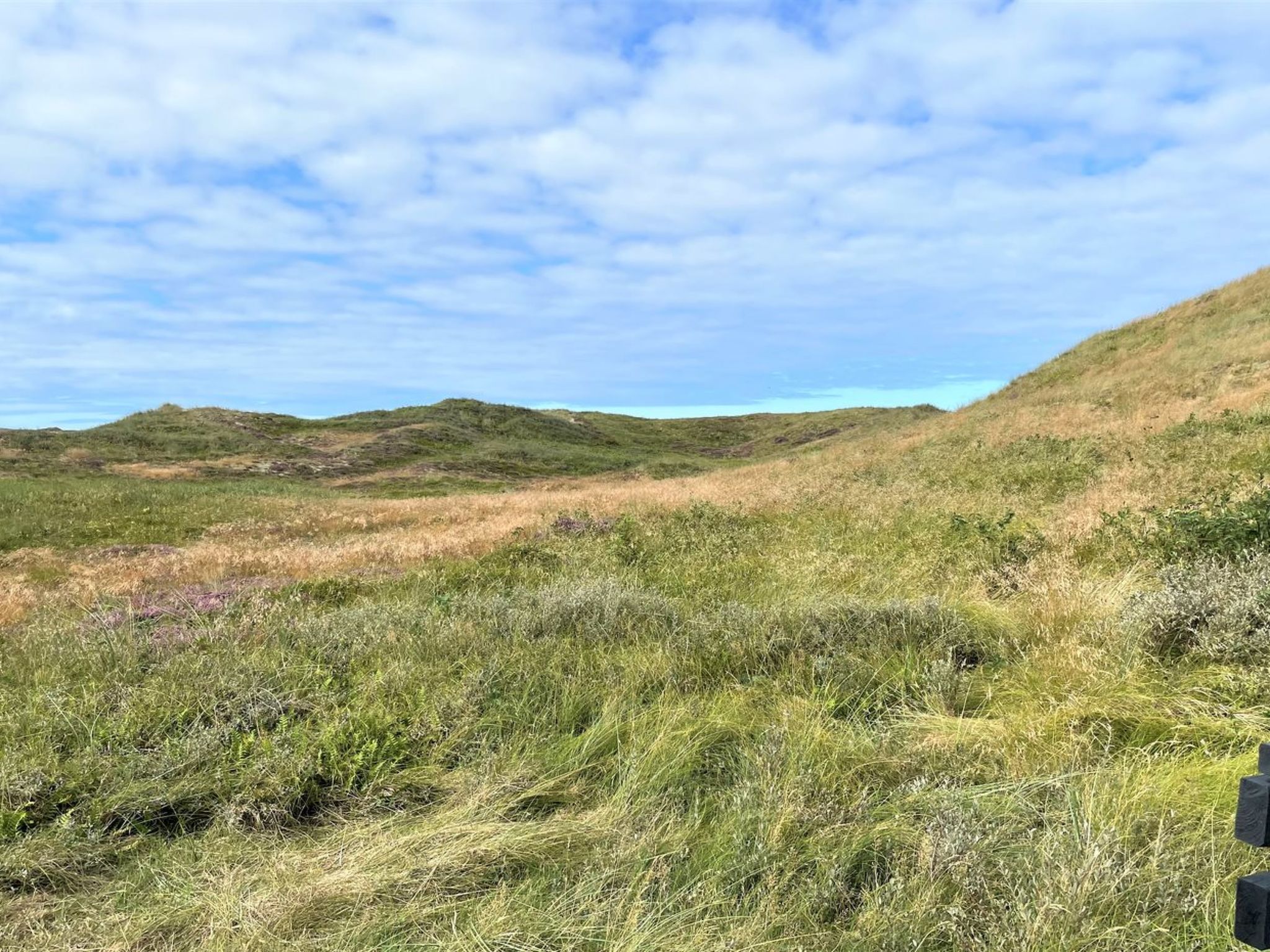 "Trugot" - 450m to the fjord-Dehors