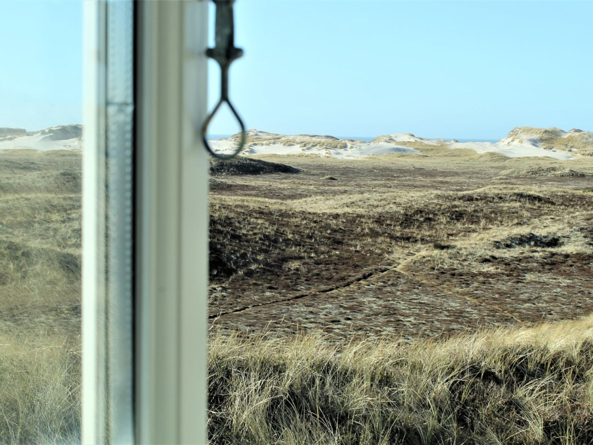 "Swanja" -  from the sea - Binnen