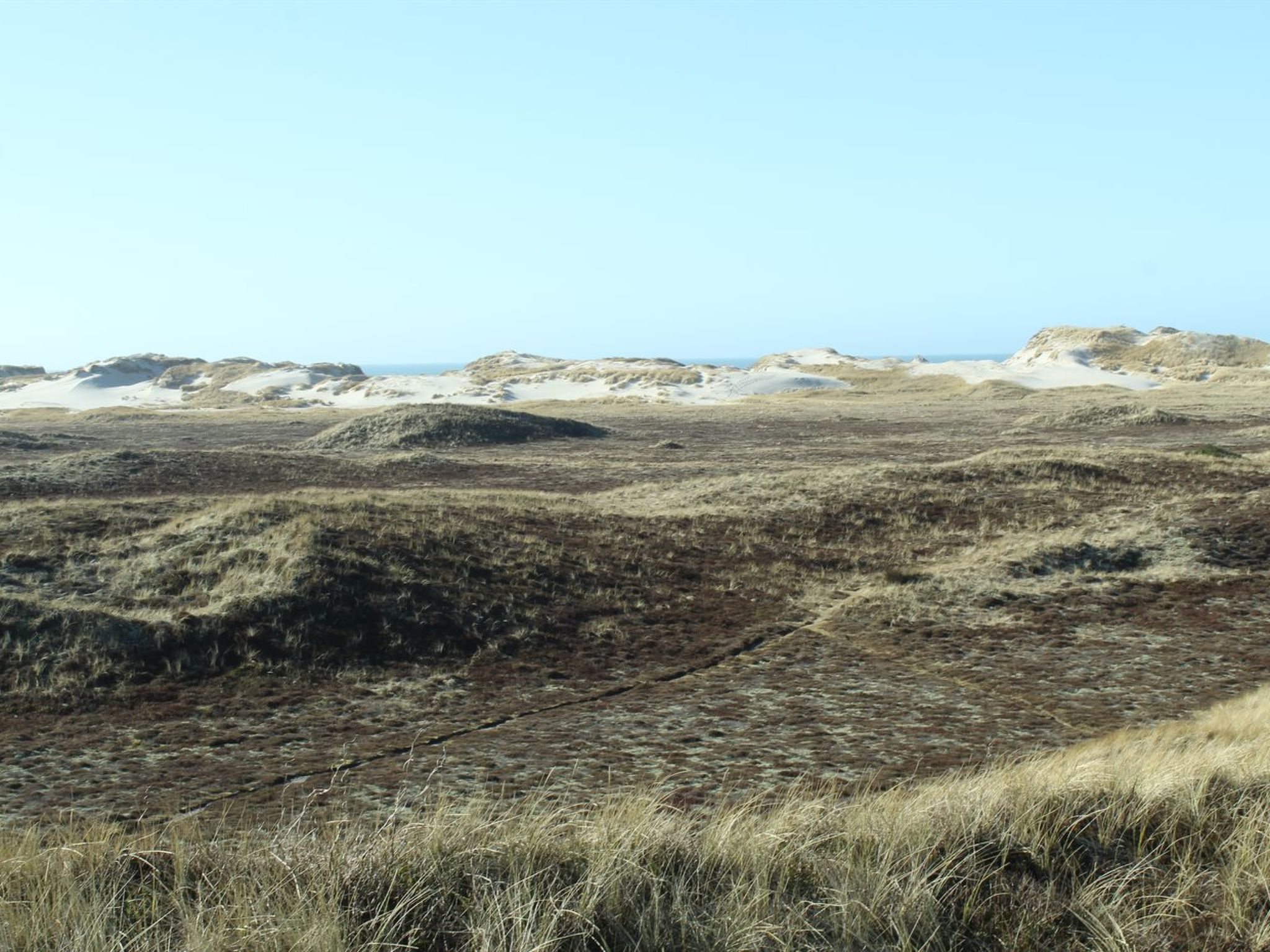 "Swanja" -  from the sea - Buiten