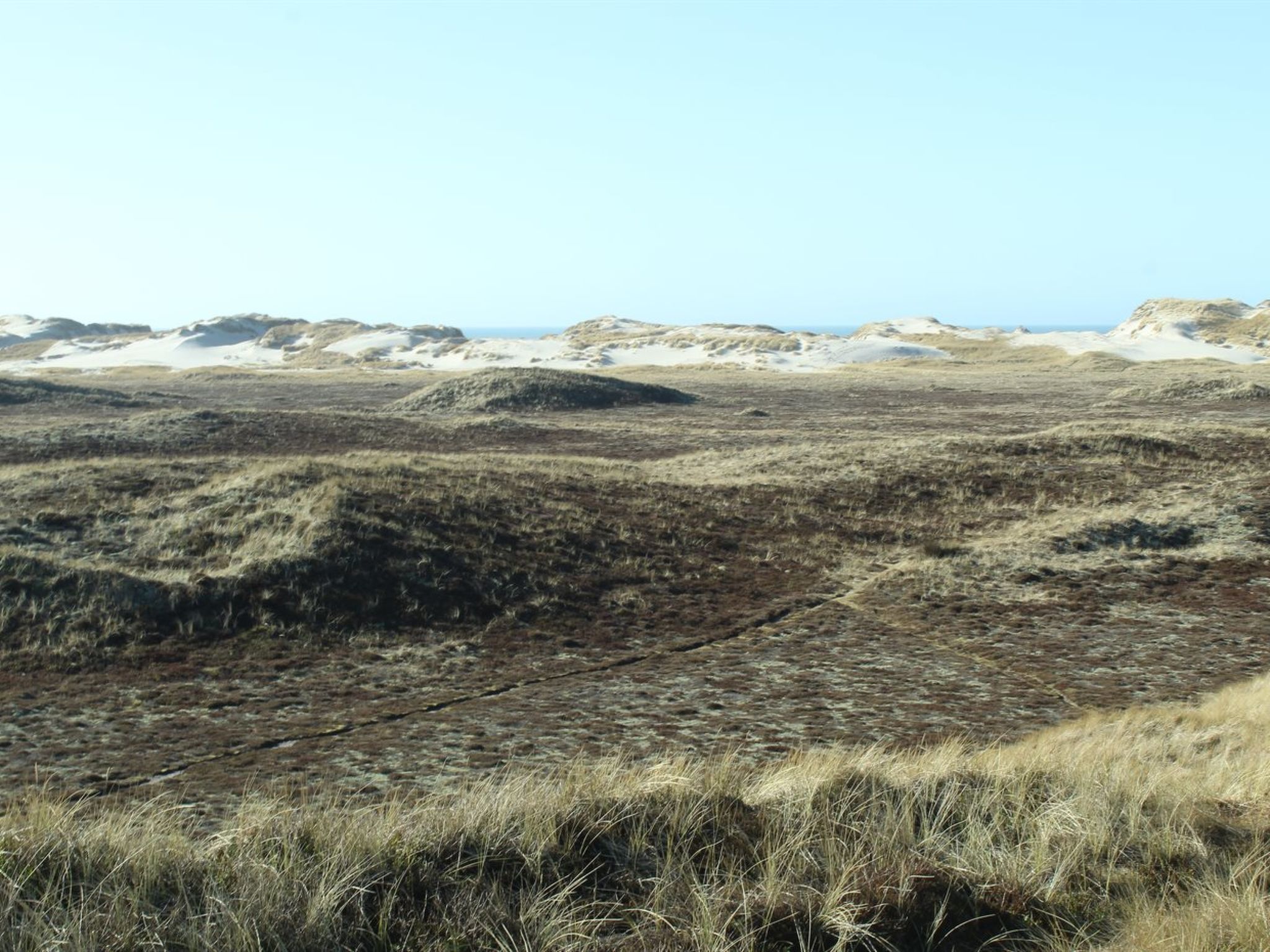"Swanja" -  from the sea - Buiten
