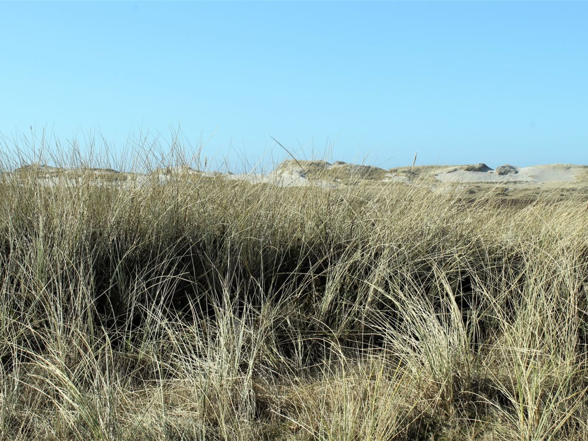 "Swanja" -  from the sea - Buiten
