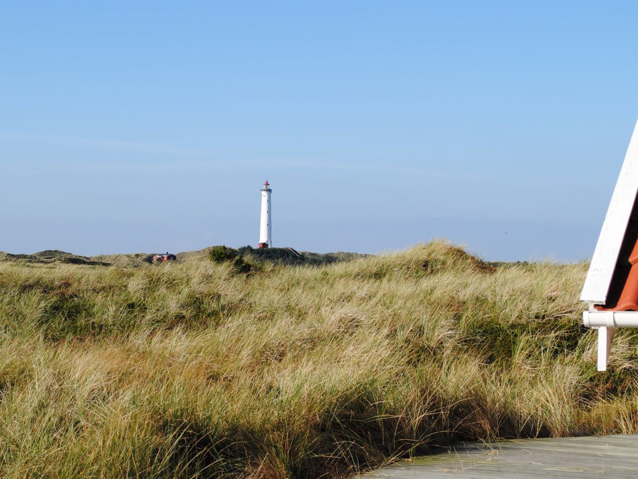 "Drusilla" - 800m from the sea - Buiten