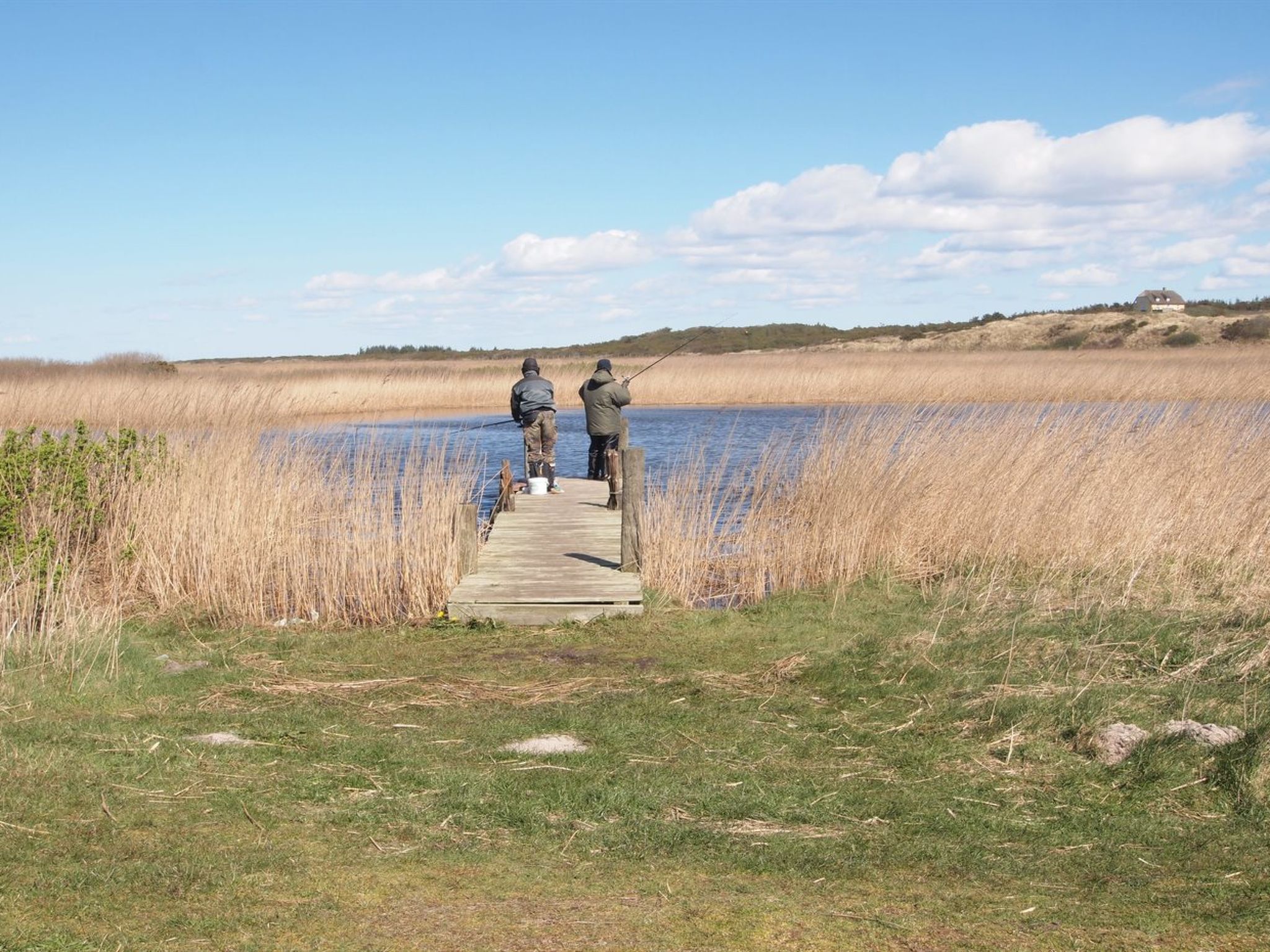 "Holte" - 700m to the fjord-Buiten