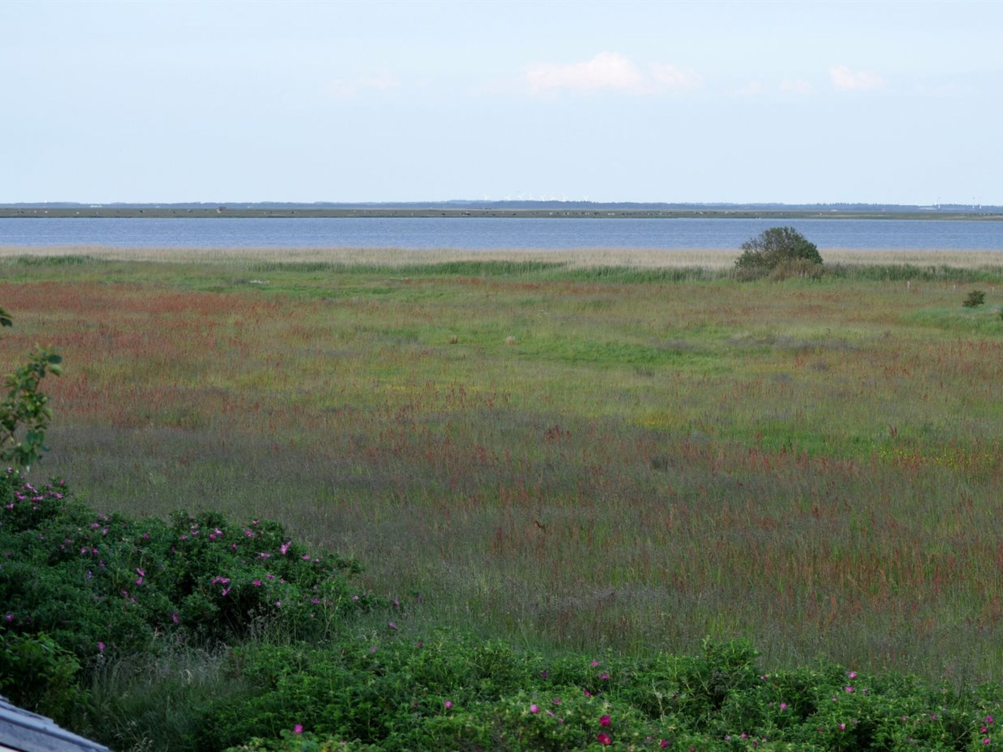 "Werna" - 800m from the sea - Buiten