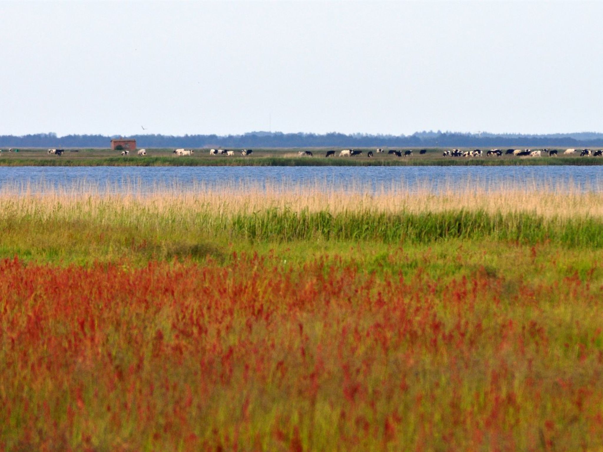 "Werna" - 800m from the sea - Buiten
