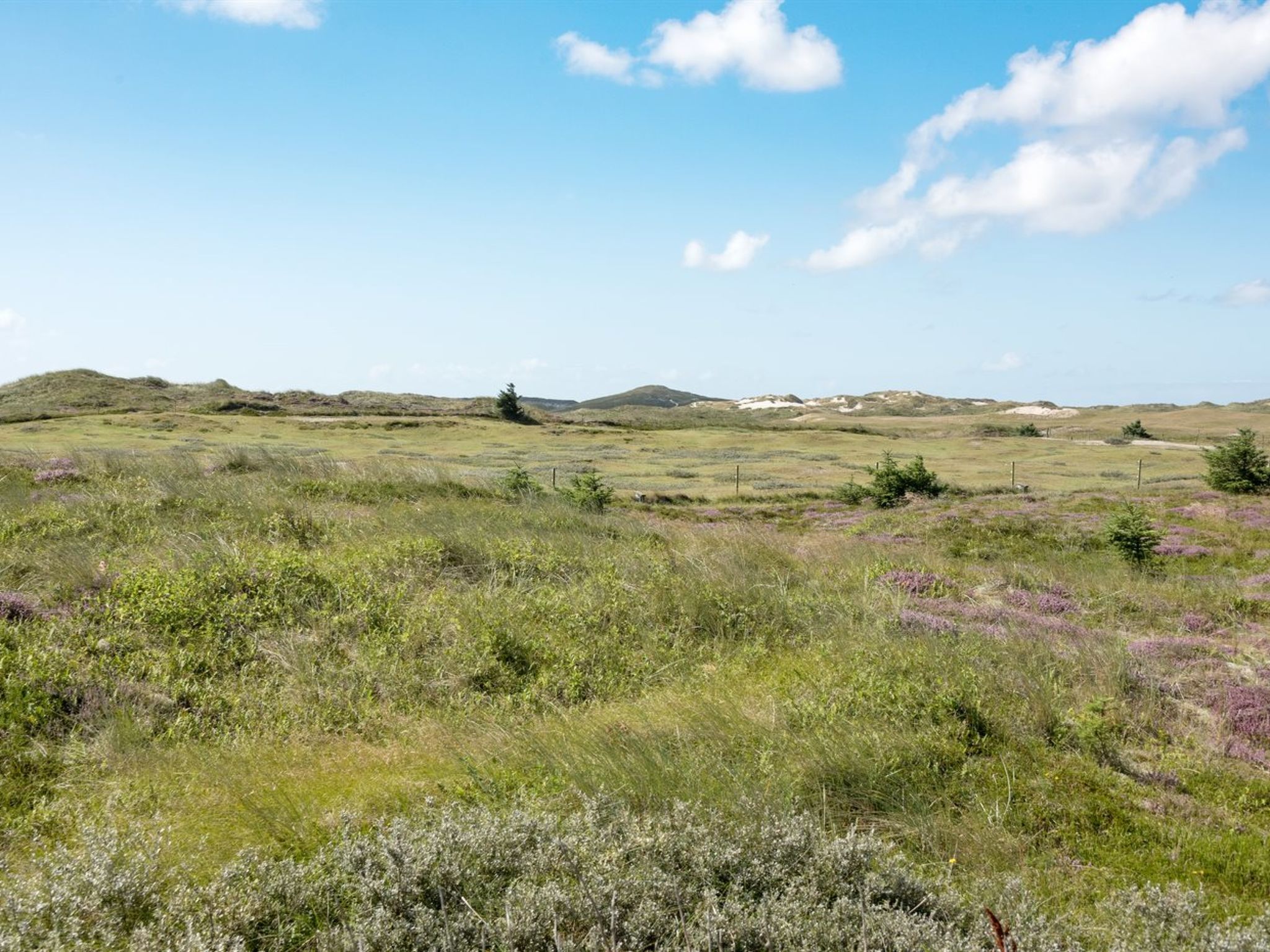 "Dorothea" - 450m to the fjord - Buiten