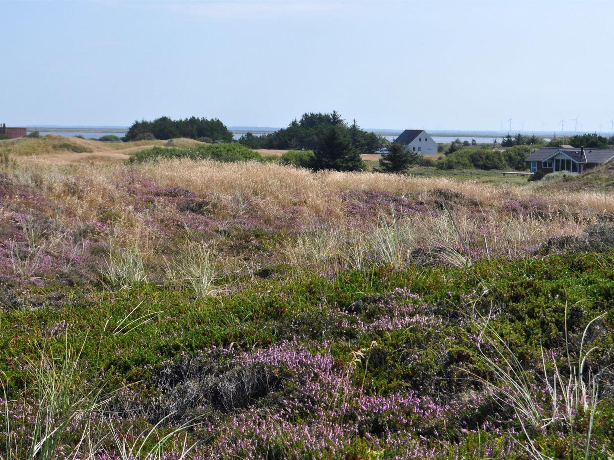 "Arli" - 800m from the sea - Buiten