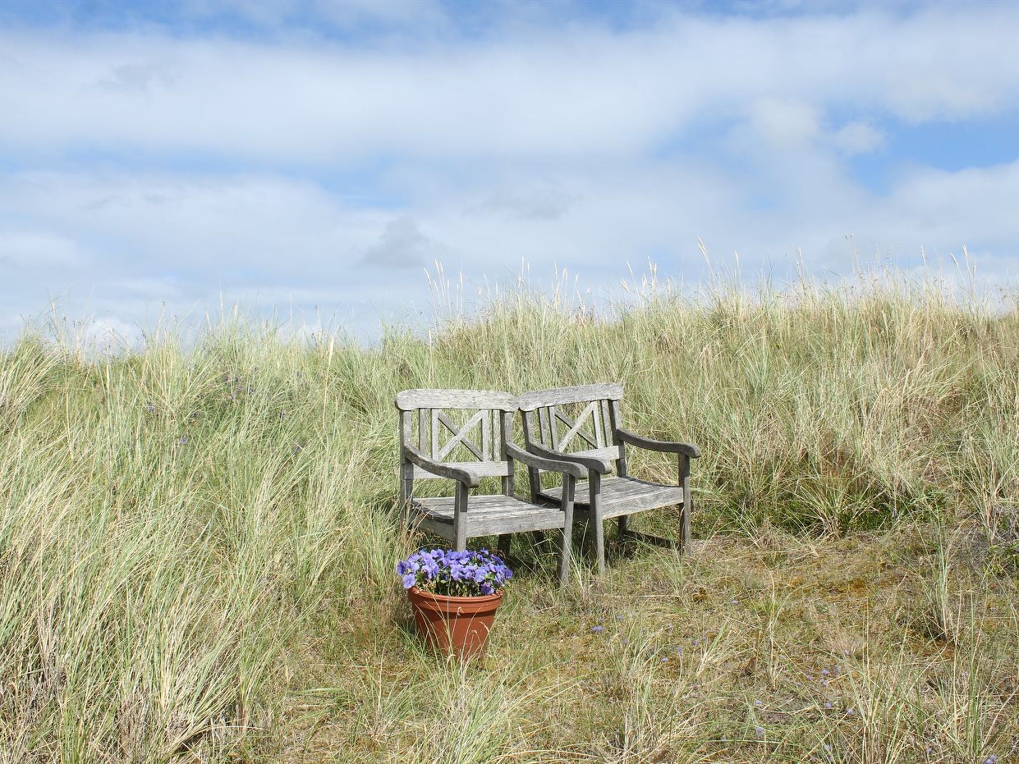 "Heilo" -  from the sea - Buiten