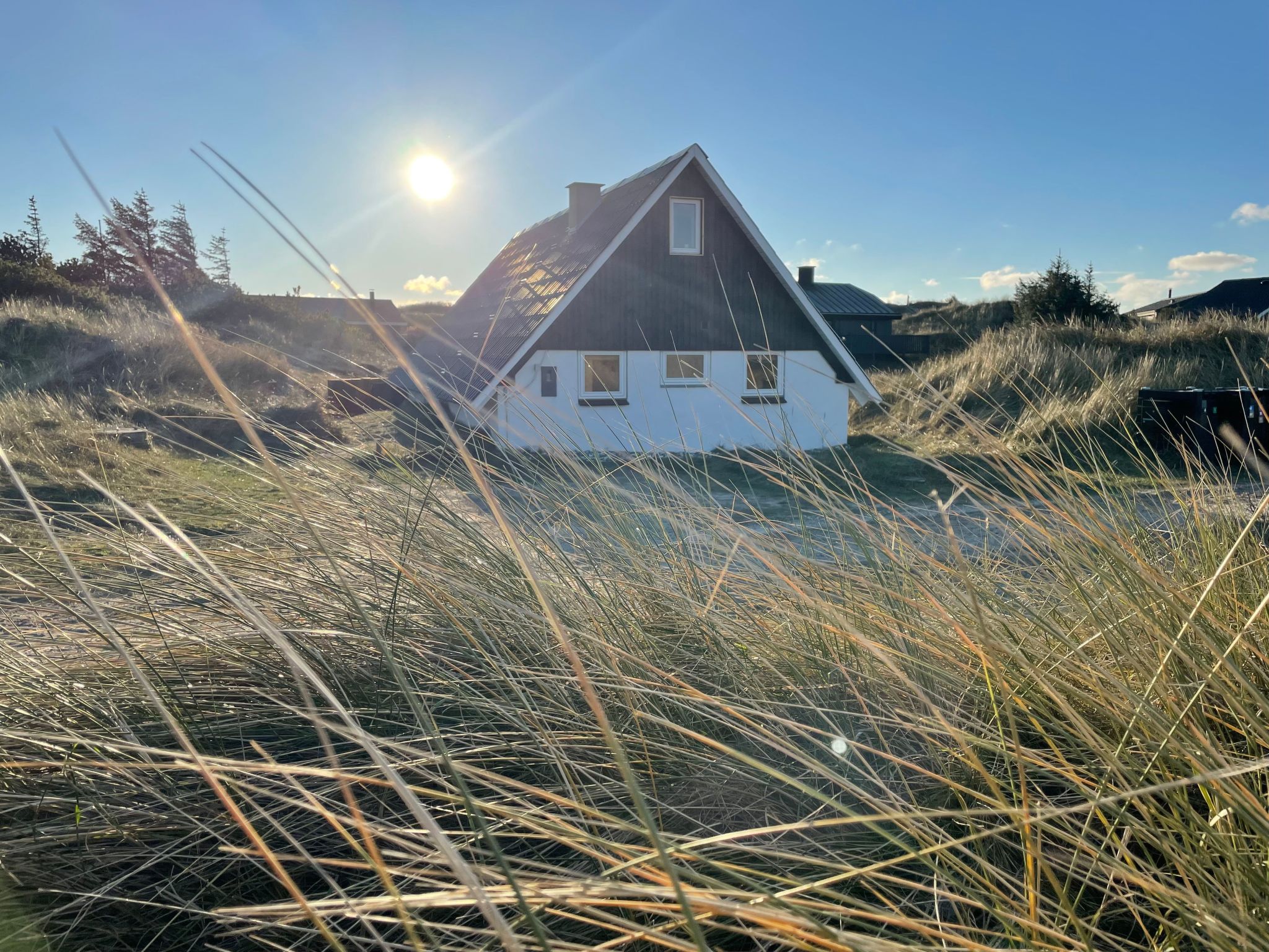 Hi,I'm Lisbeth and I own this little gem hidden in the dunes. My husband and I bought the cottage in January 2021 with the aim to share it with others who appreciate a location directly in the Danish ..