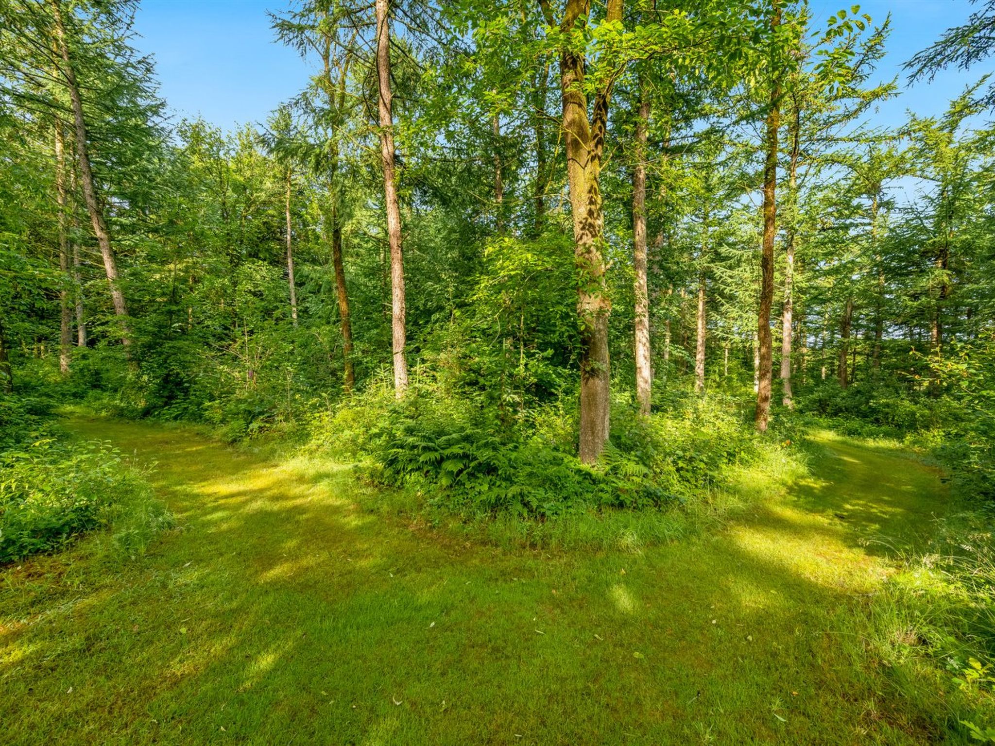 "Fina" - 15km from the sea - Draußen