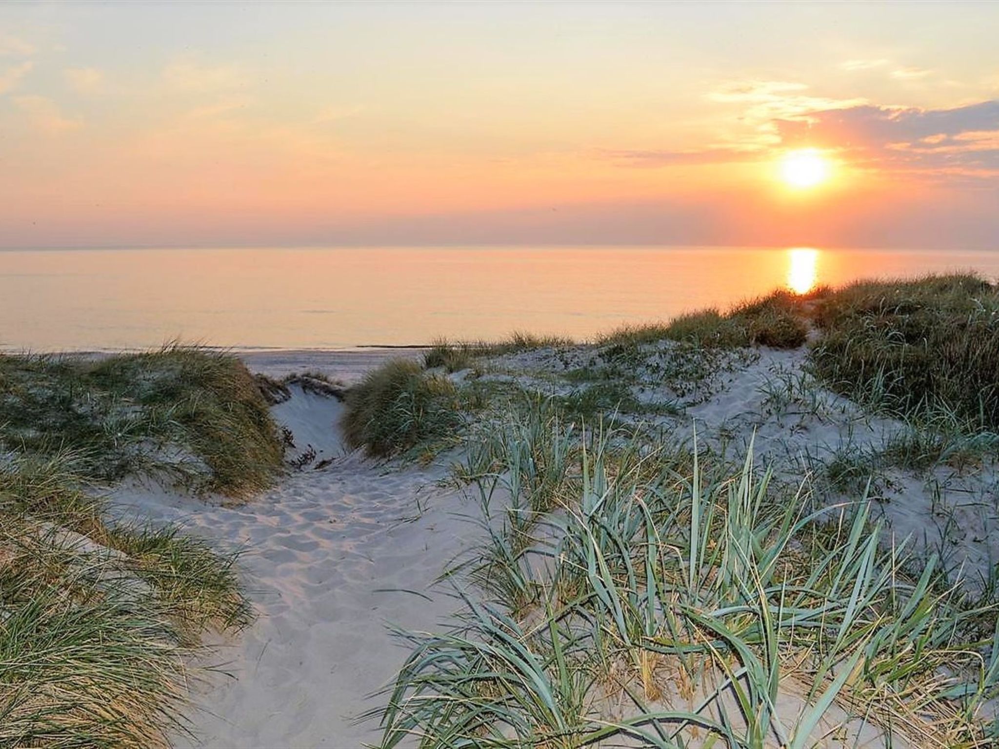"Martinus" - 5.5km from the sea - Buiten