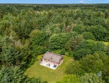 Ruim vakantiehuis op 5000 m² grond, 1.7 km van zee bij Ulfborg - thumbnail 3