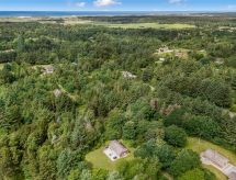 Ruim vakantiehuis op 5000 m² grond, 1.7 km van zee bij Ulfborg - thumbnail 2