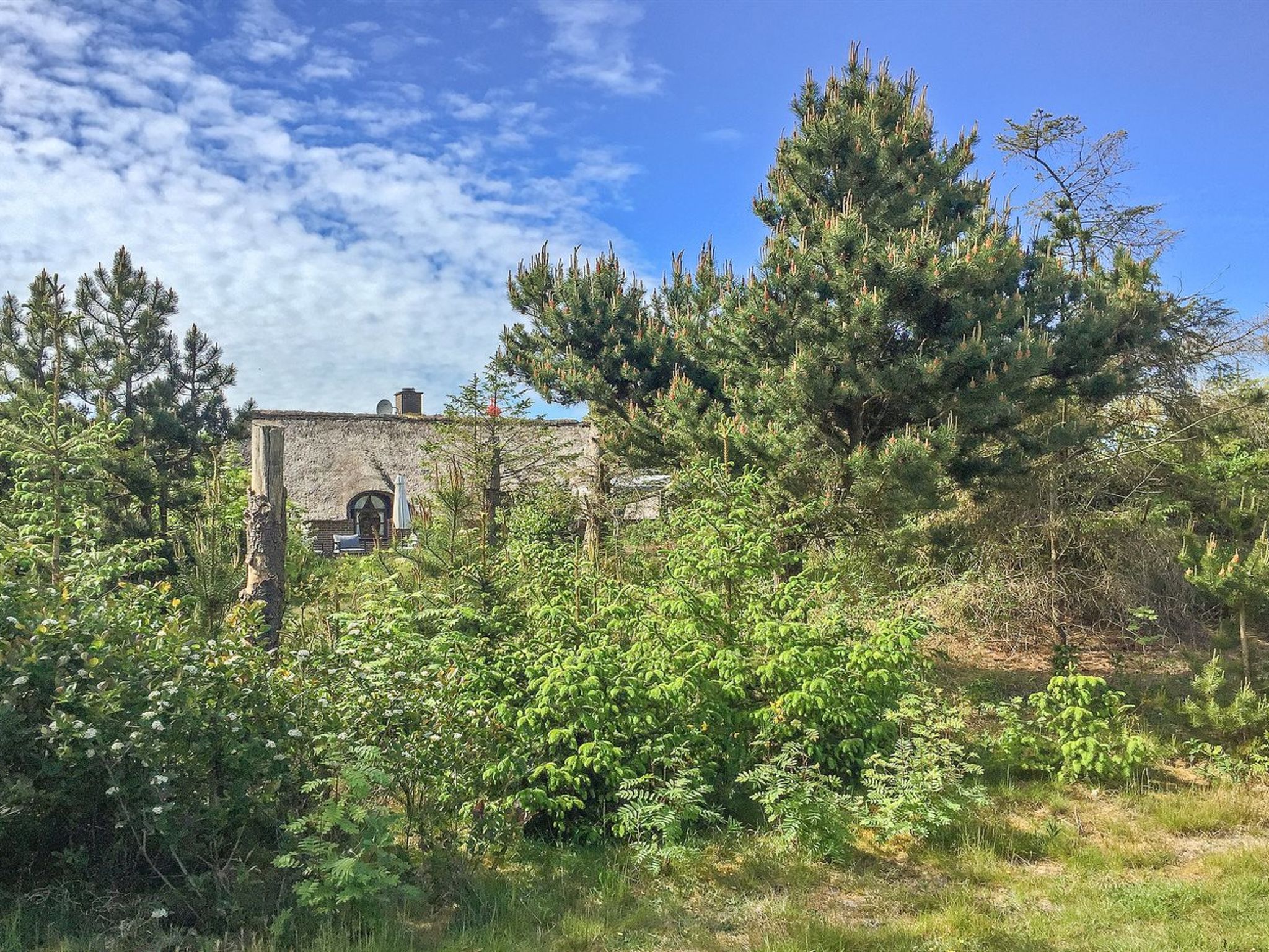 "Ilva" - 300m to the fjord - Buiten