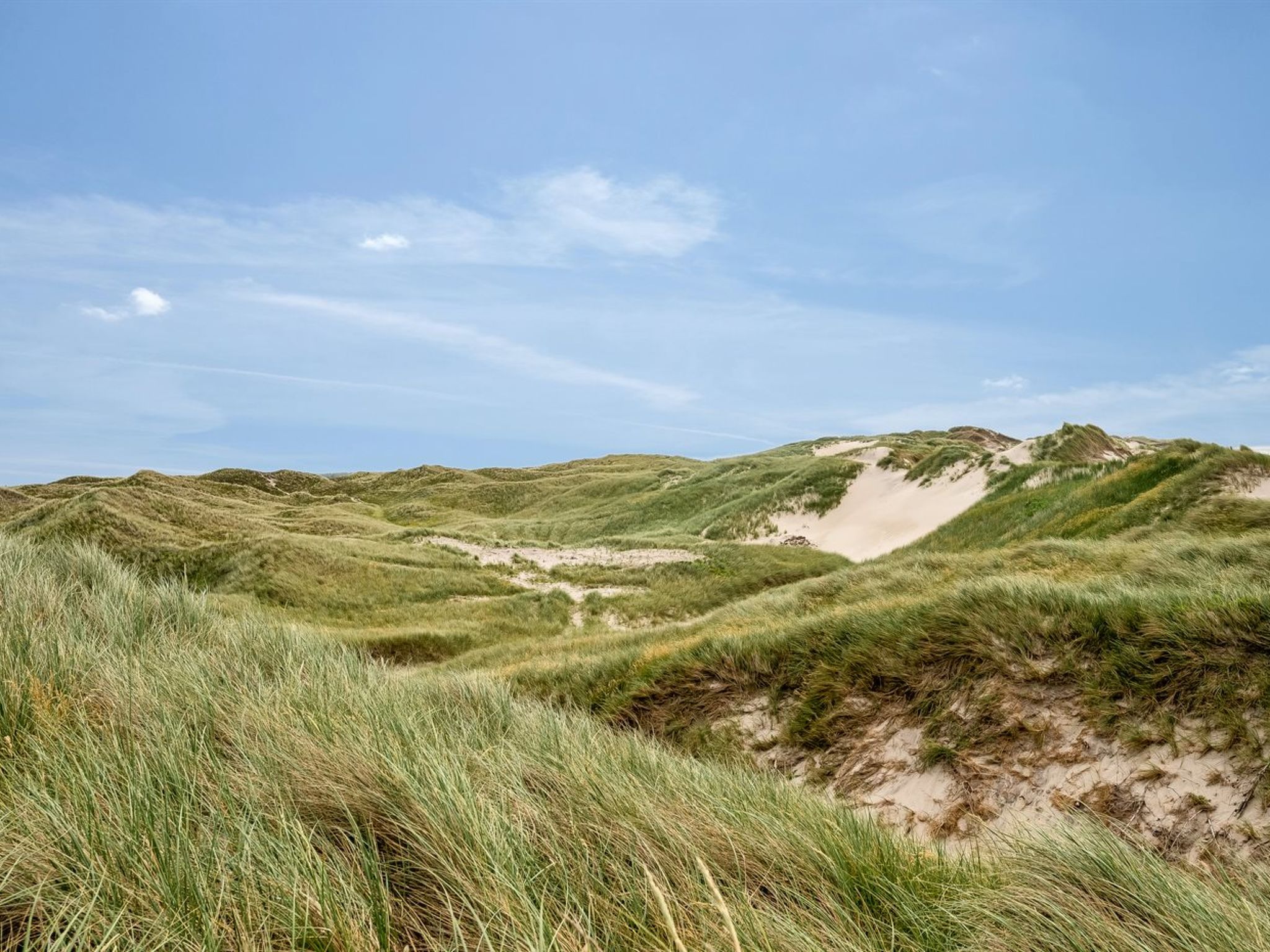 "Kanerva" -  from the sea-Draußen
