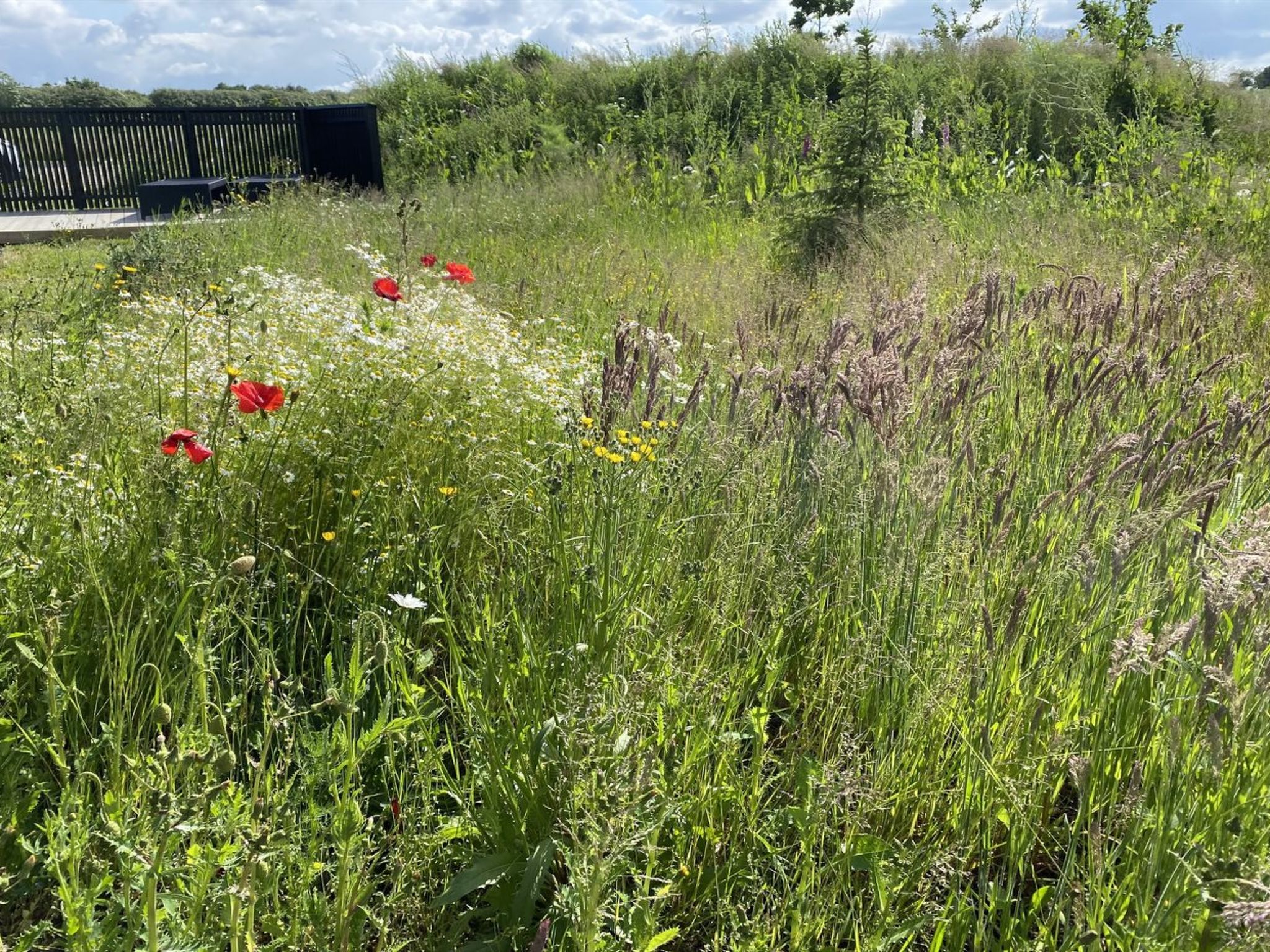 "Anelle" - 500m from the sea - Buiten