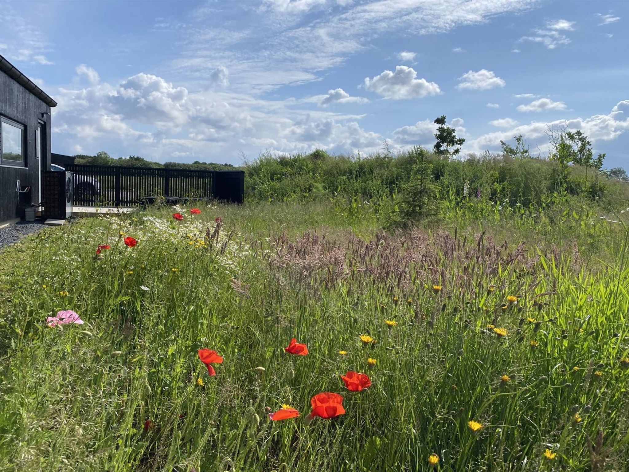 "Anelle" - 500m from the sea - Buiten