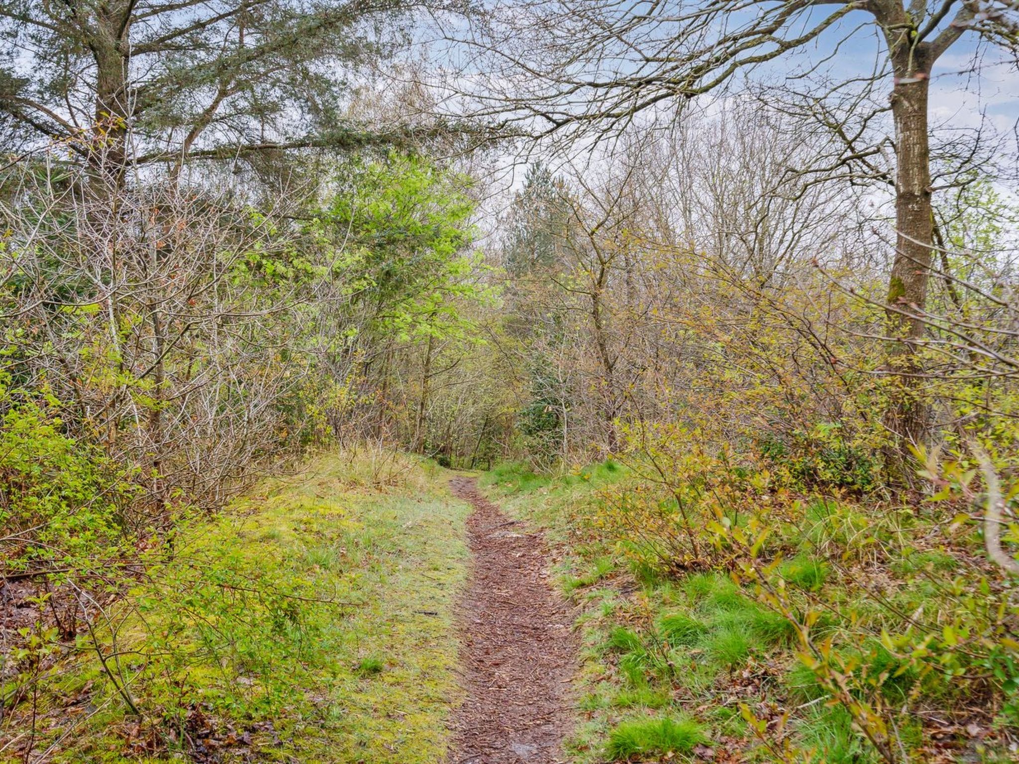 "Avni" - 300m from the sea-Buiten