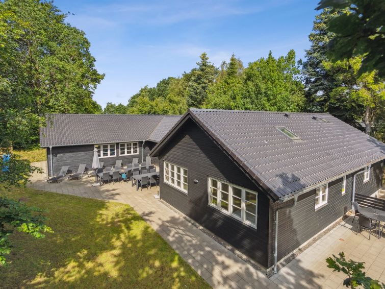 Vakantiehuis met open haard en sauna voor 20 personen in Børkop in Børkop