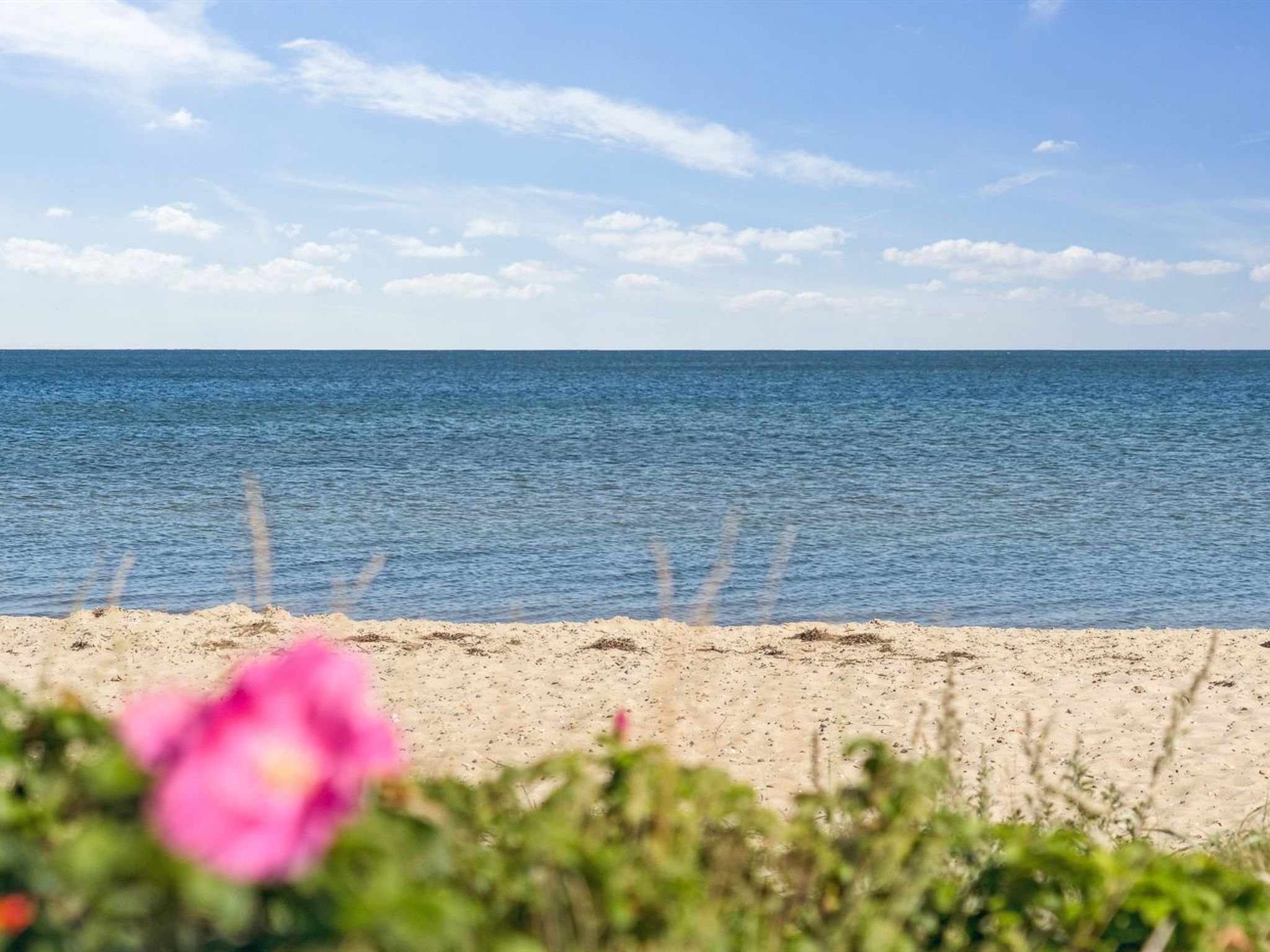 "Elvie" - 150m from the sea - Buiten